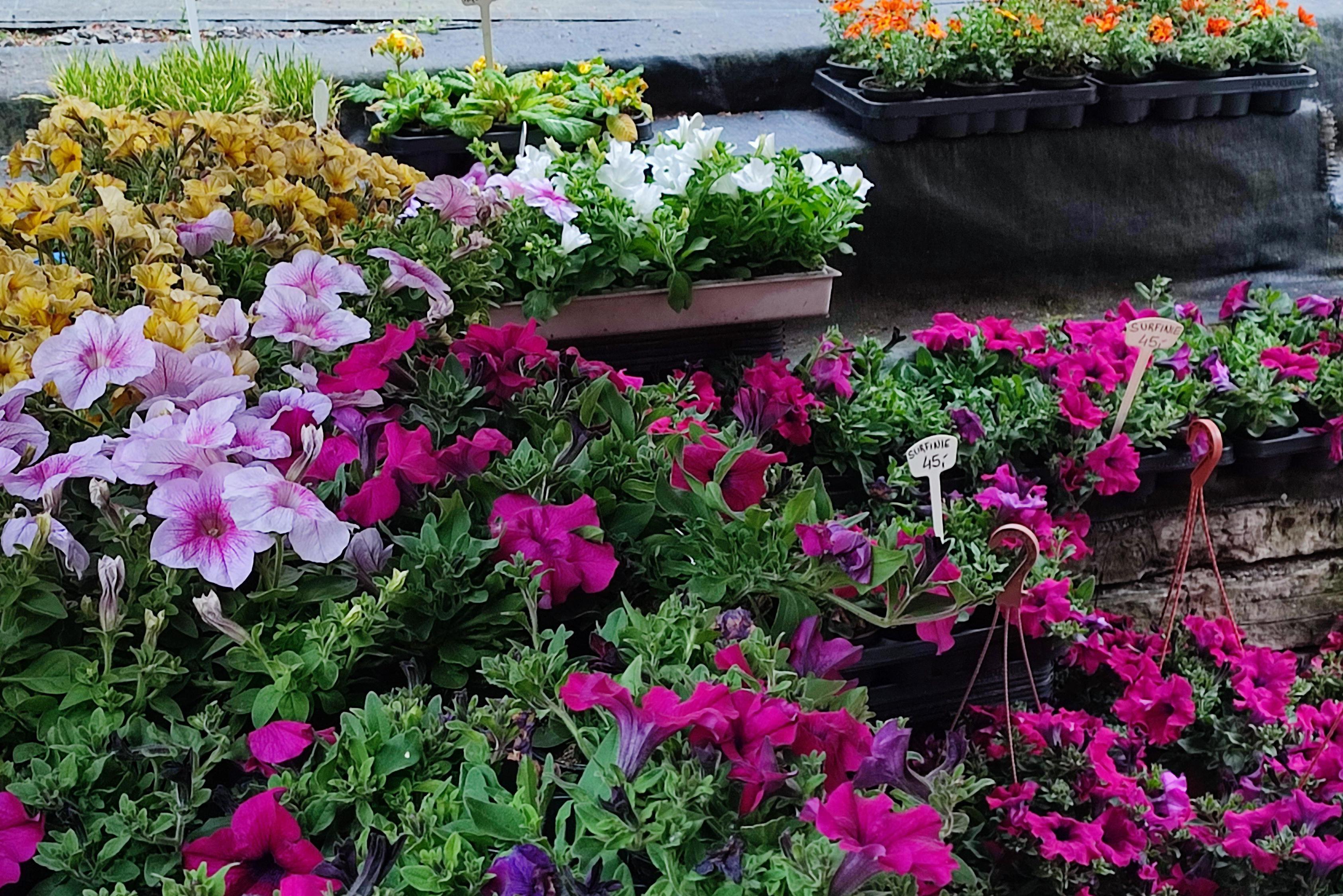 Zahradnictví Mostní