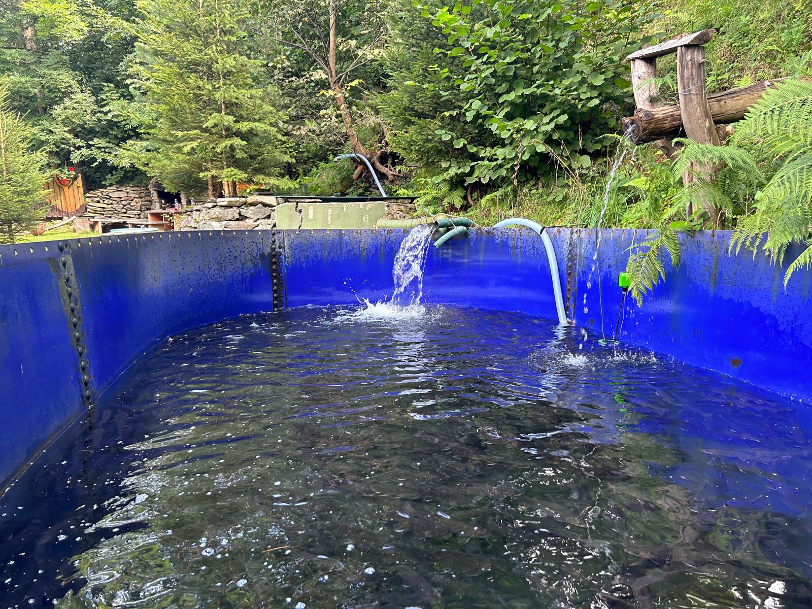 Rybí farma - Milan Martinek