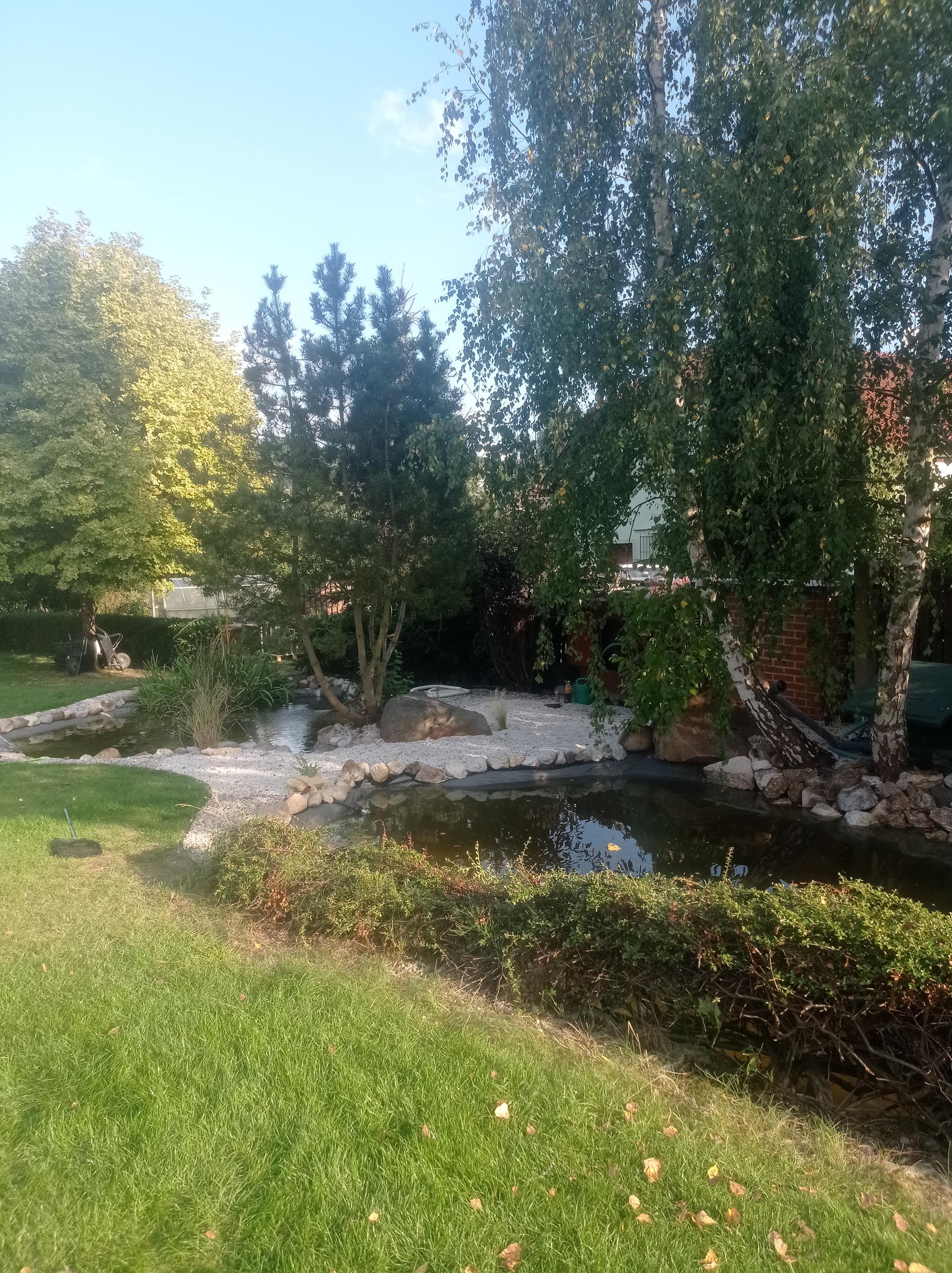 Trávníkář-Západ.cz foto 4