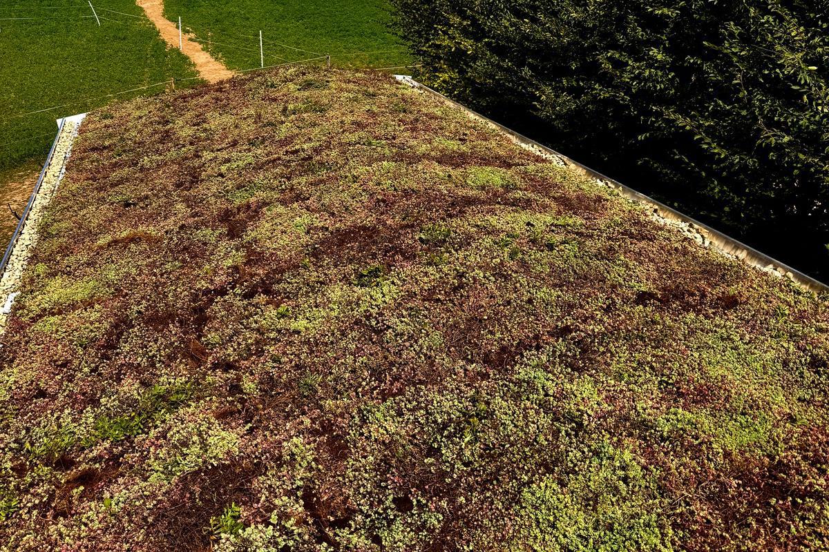 G-ROOF realizace zelených střech