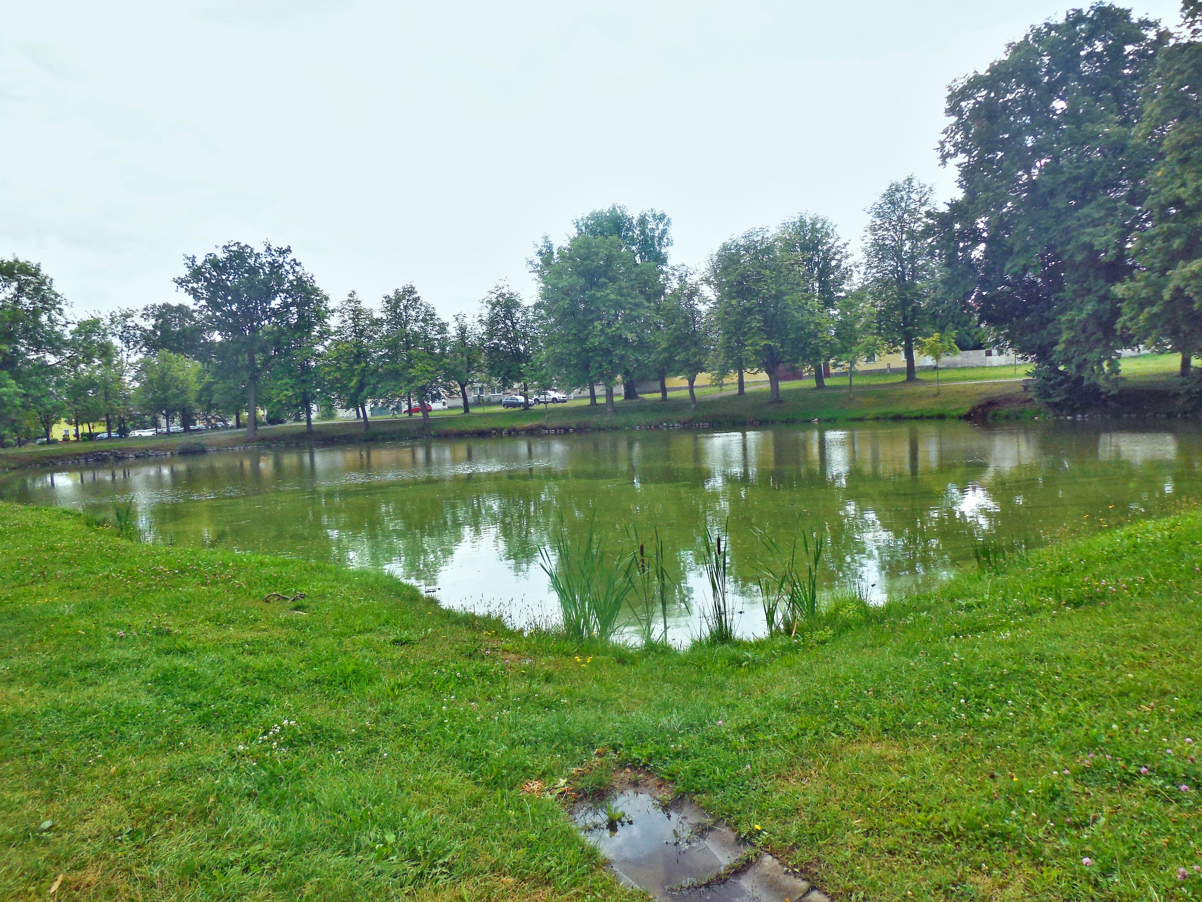 Obec Touškov - obecní úřad foto 3