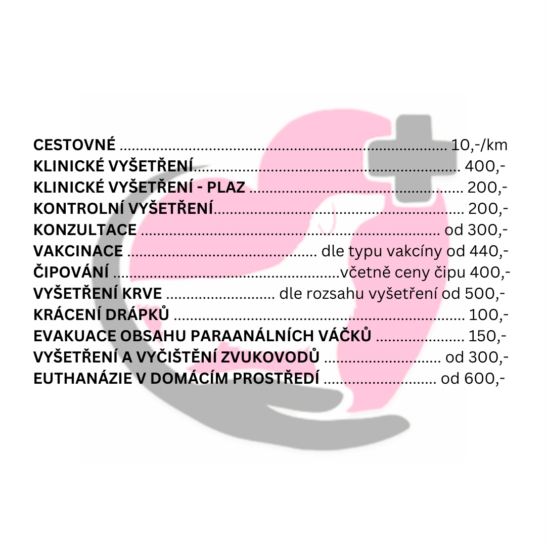 Výjezdová veterinární služba ArtyVet - MVDr. Vendula Stoklasová foto 2