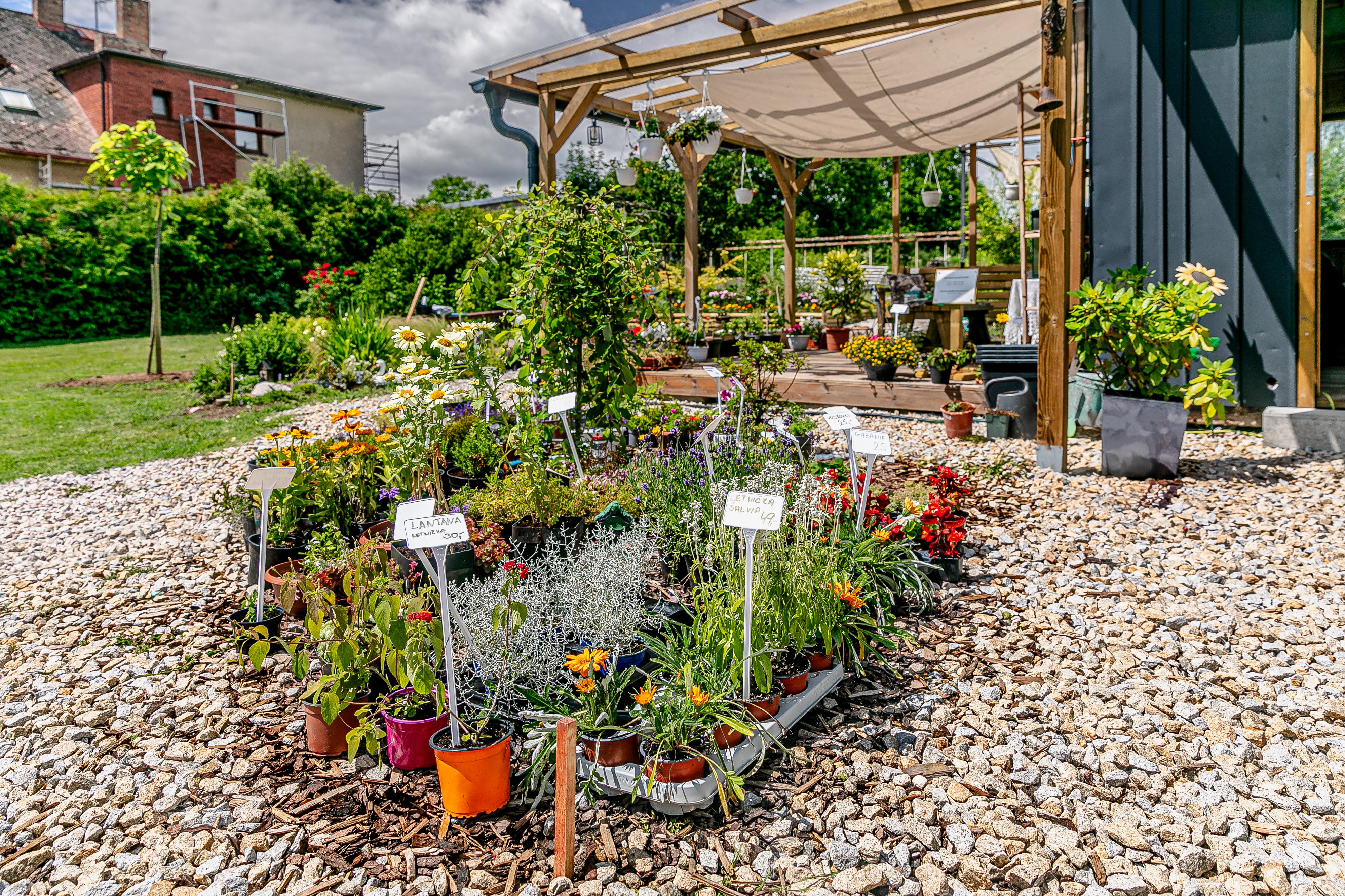 Zahradnictví Tábor – J.Reiter foto 3