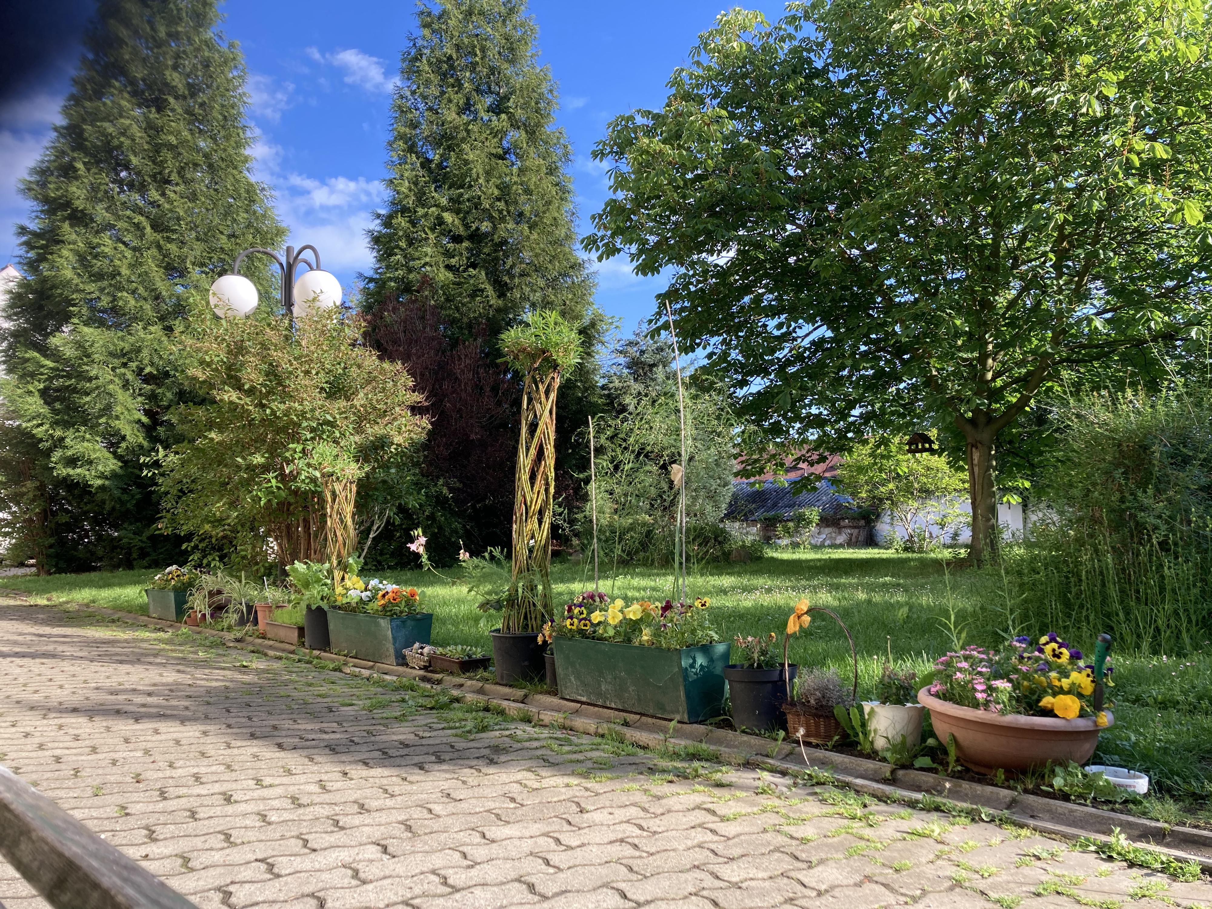 Pedikúra - Salon M foto 2