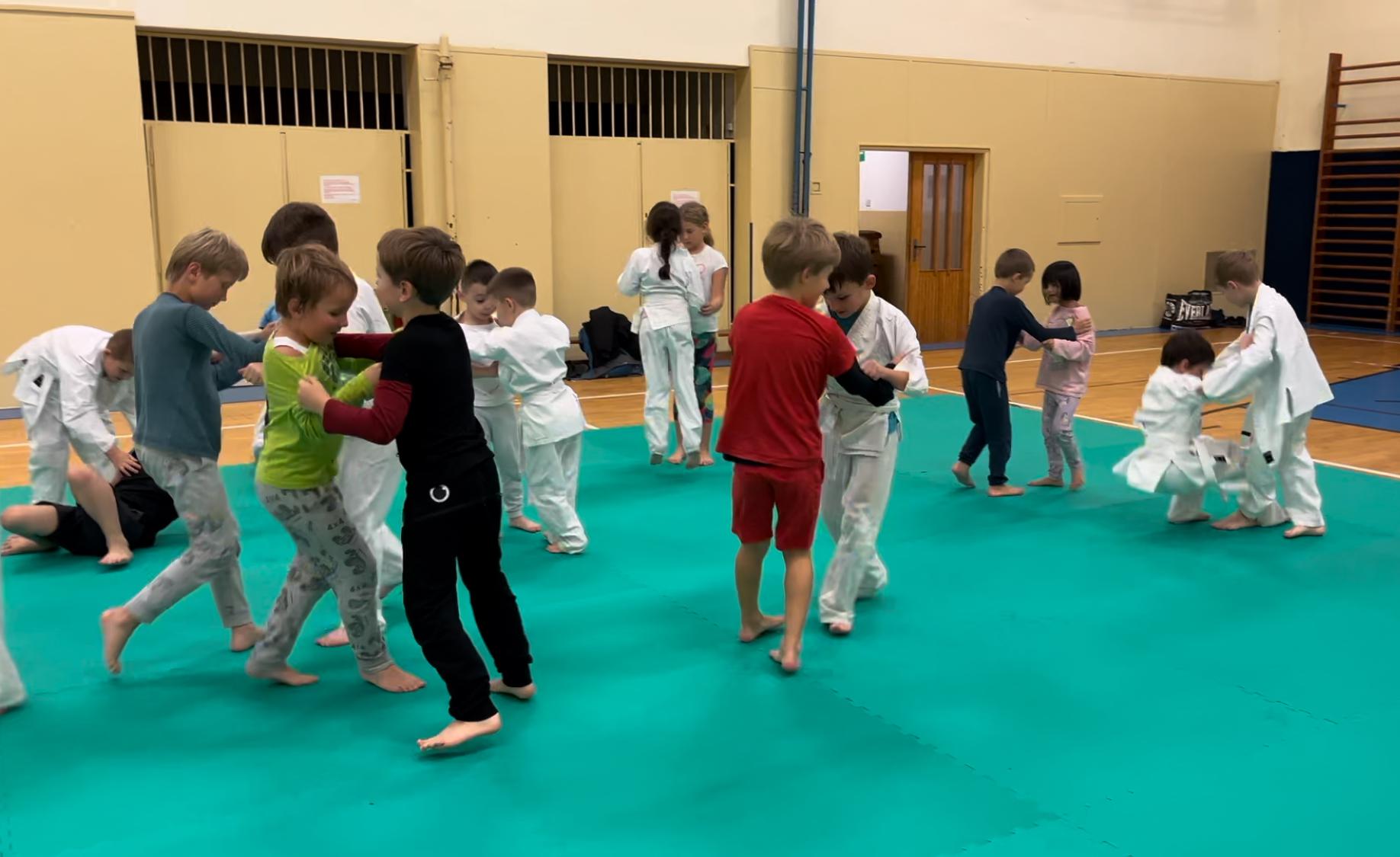 Judo Best Motion foto 3