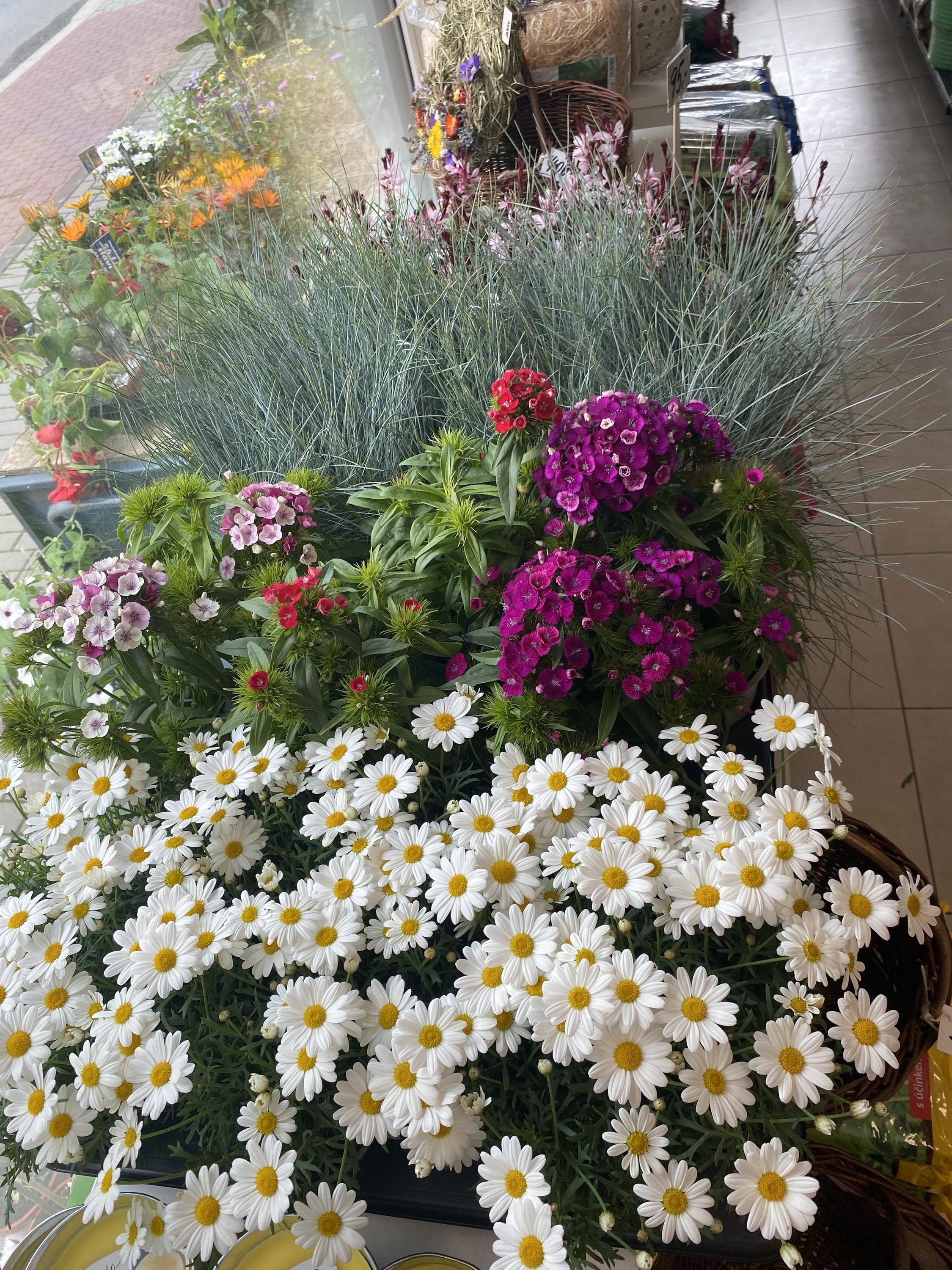 Farma vše pro zahradu a chov foto 4