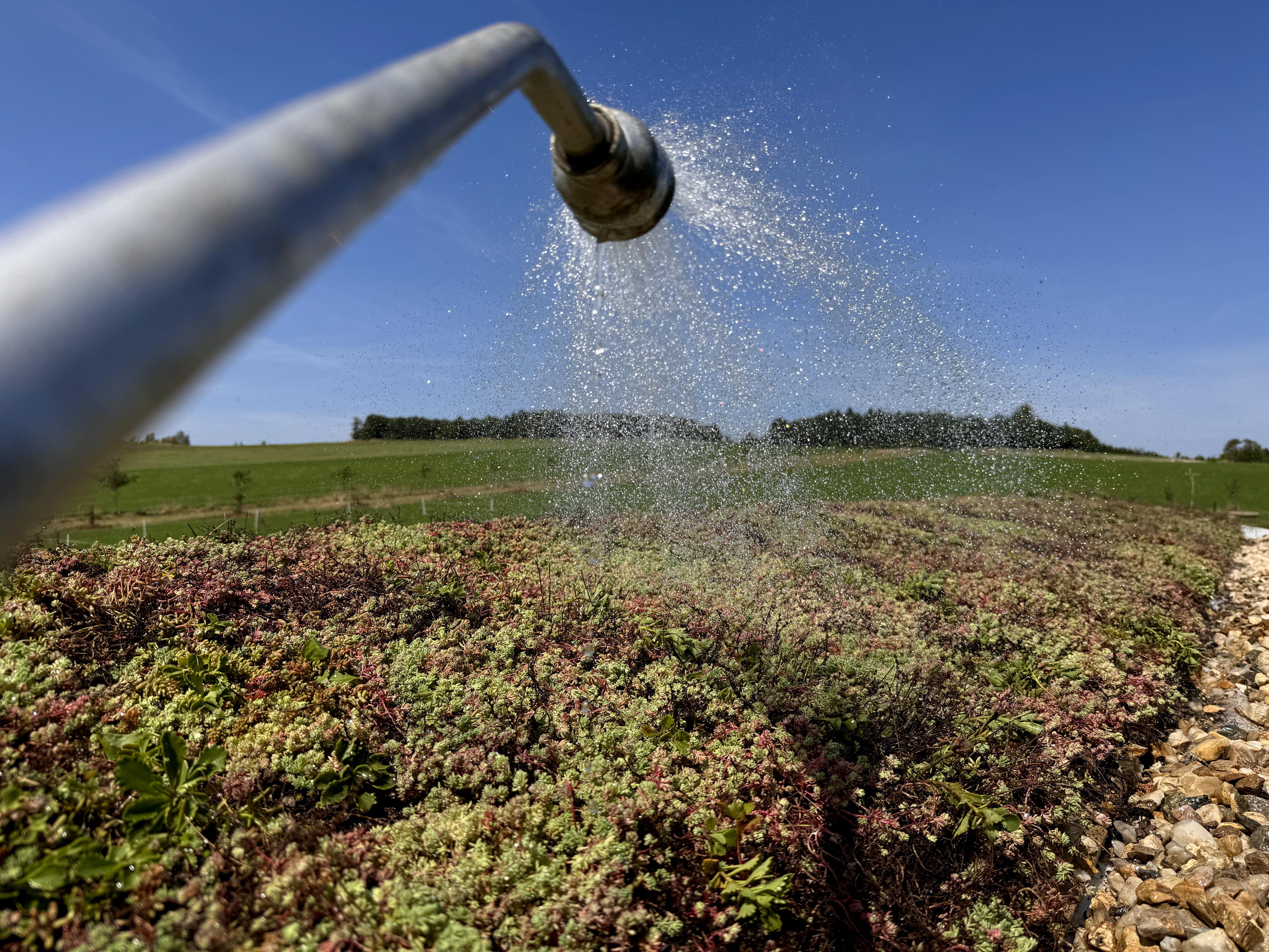 G-ROOF realizace zelených střech foto 2