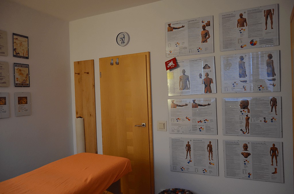 Celostní medicína - Eva Hajská foto 4