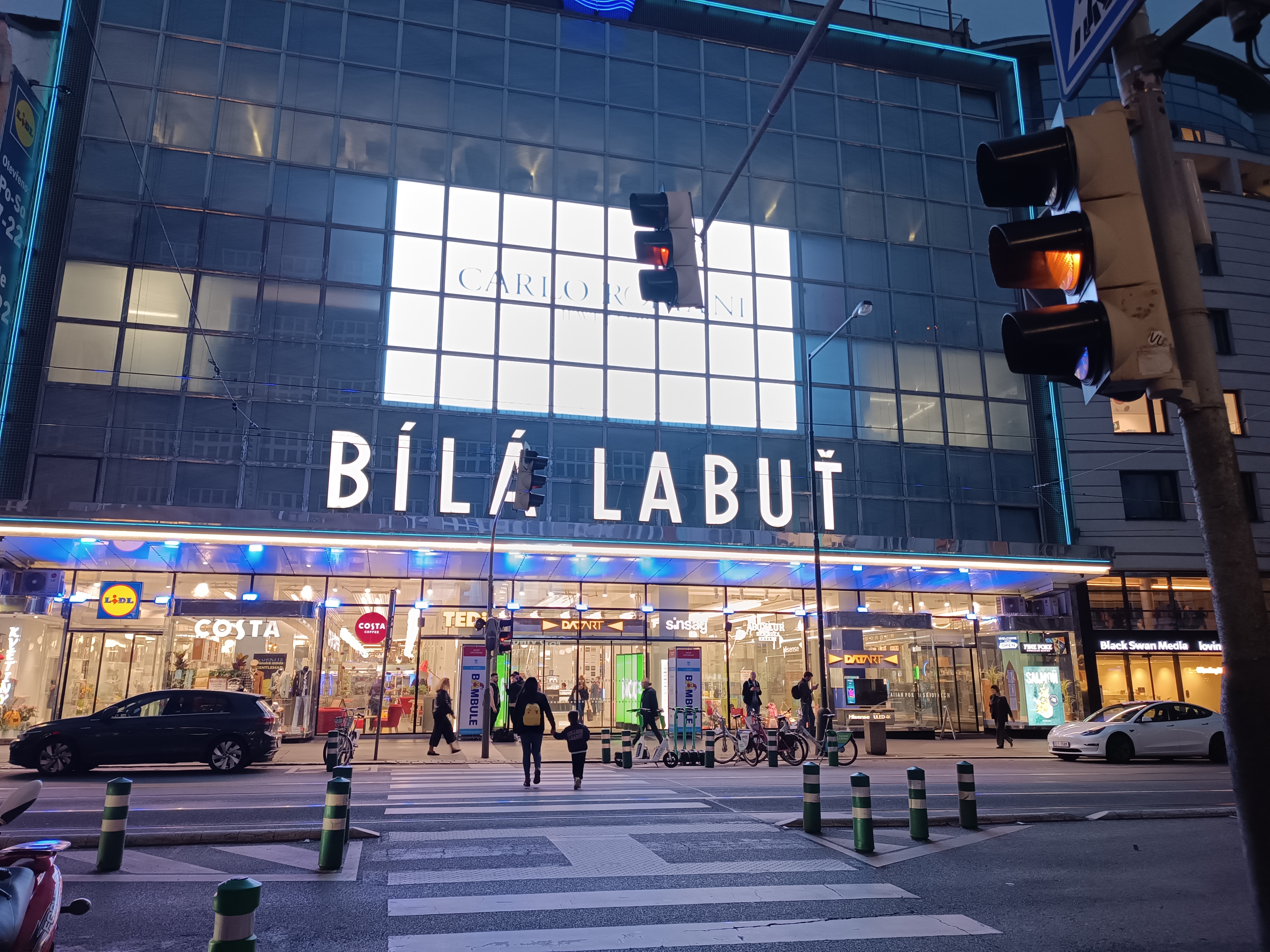 Bílá labuť foto 3