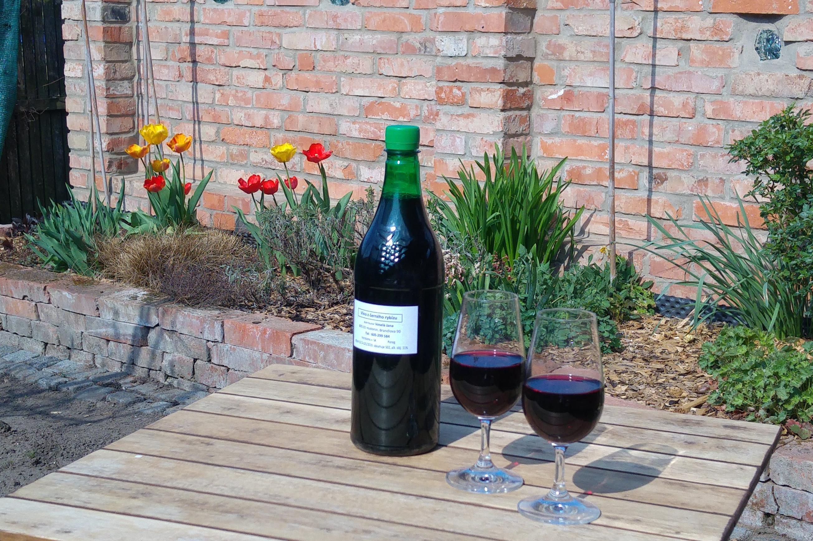 Rybízové víno - Veselá Jana