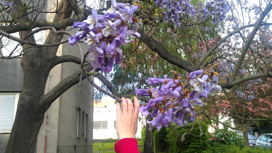 Mgr. Jan Rajčok foto 5
