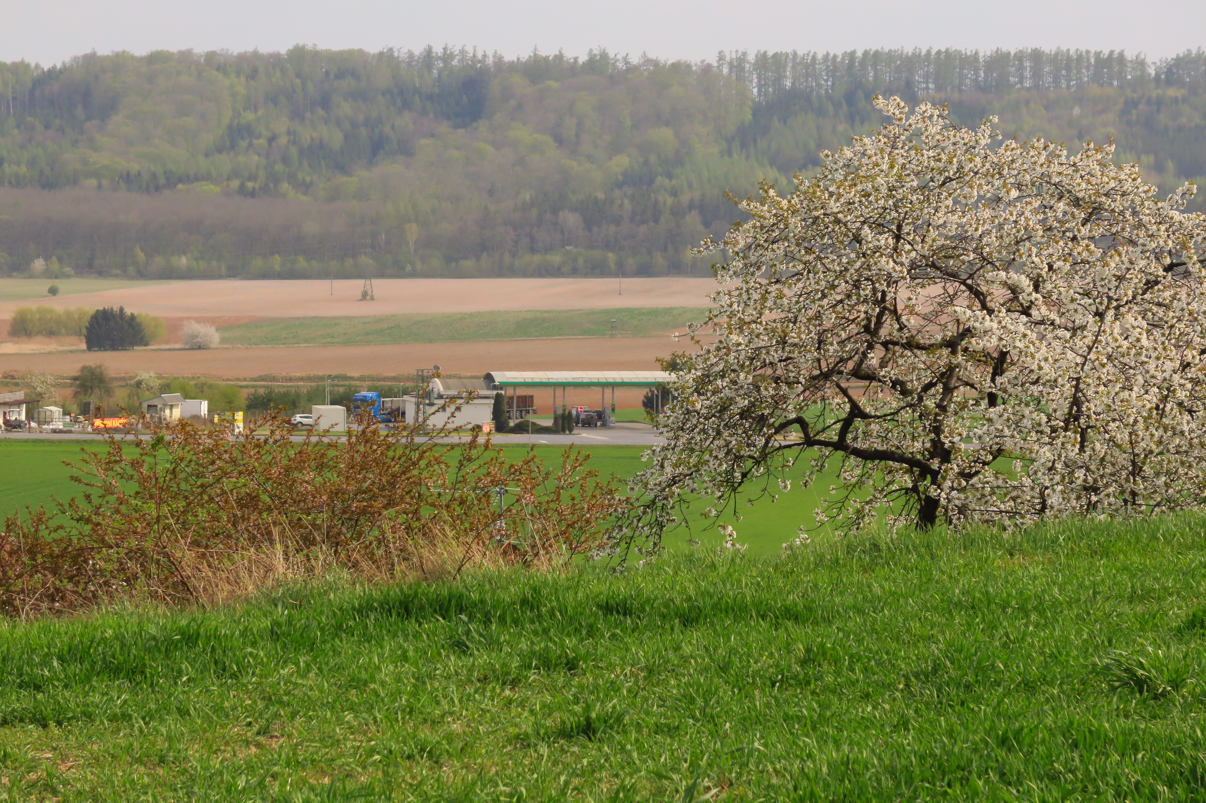 MOL foto 6