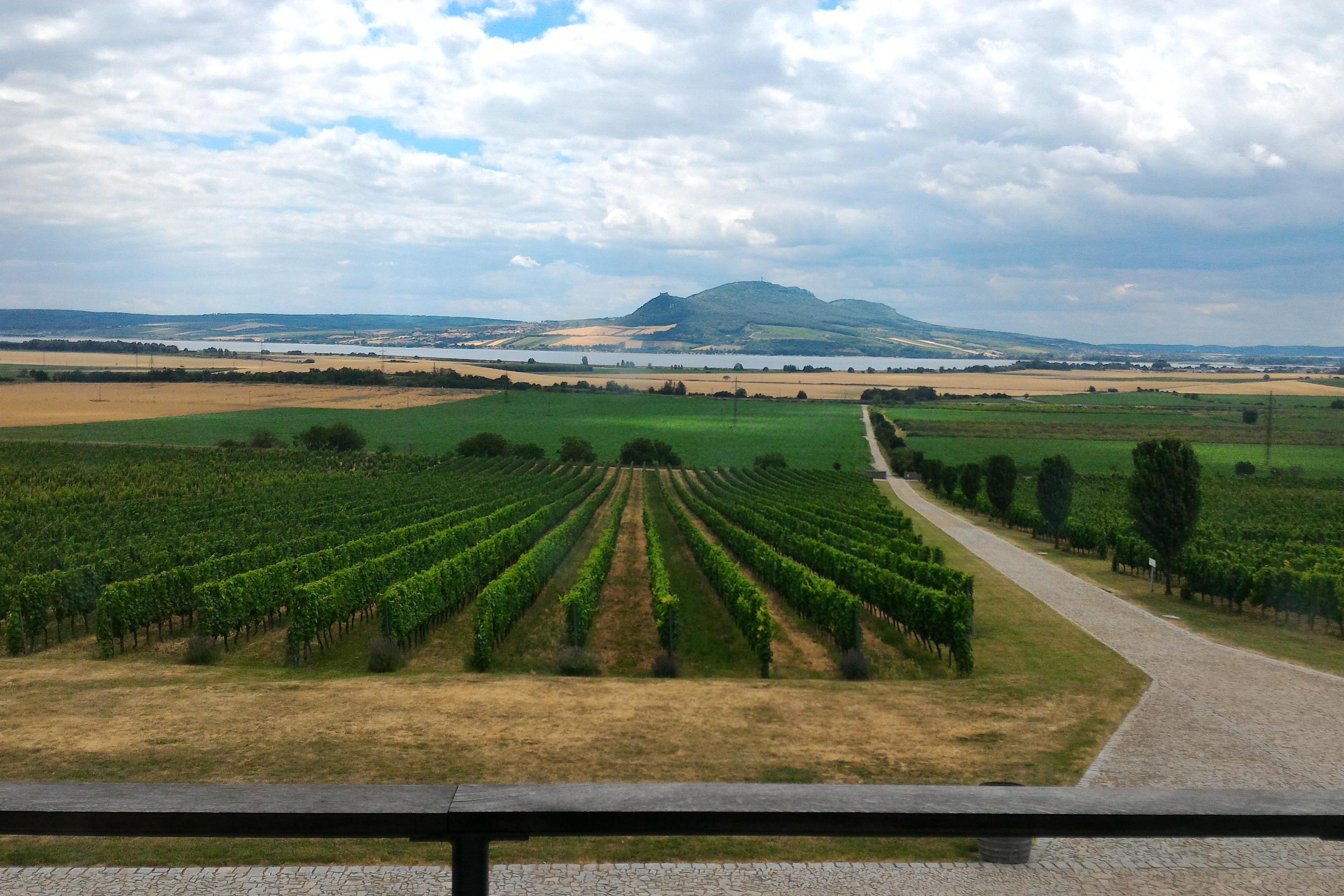 Vinný klub Pod Kapličkou