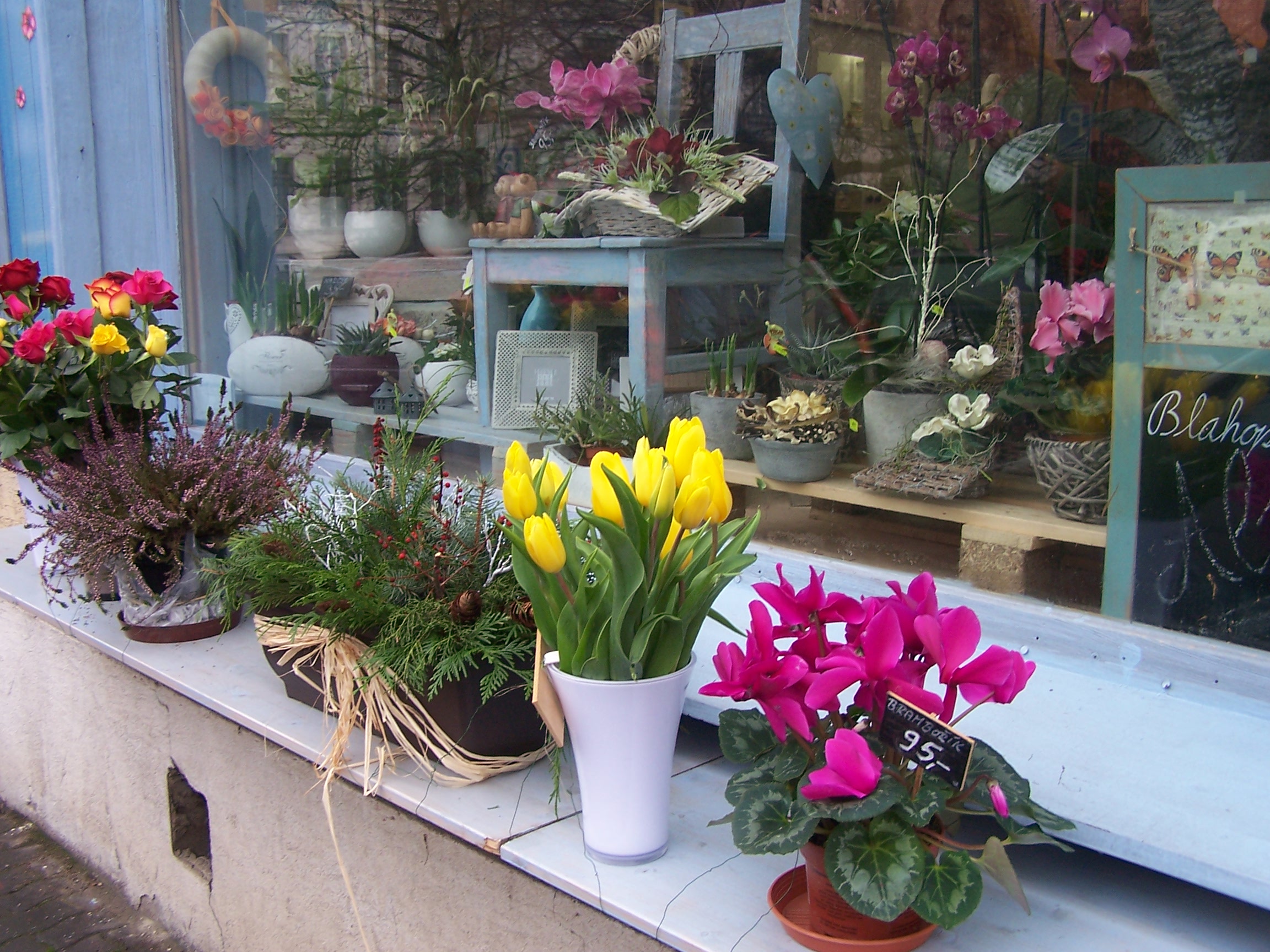 Květinářství Scarlet foto 2