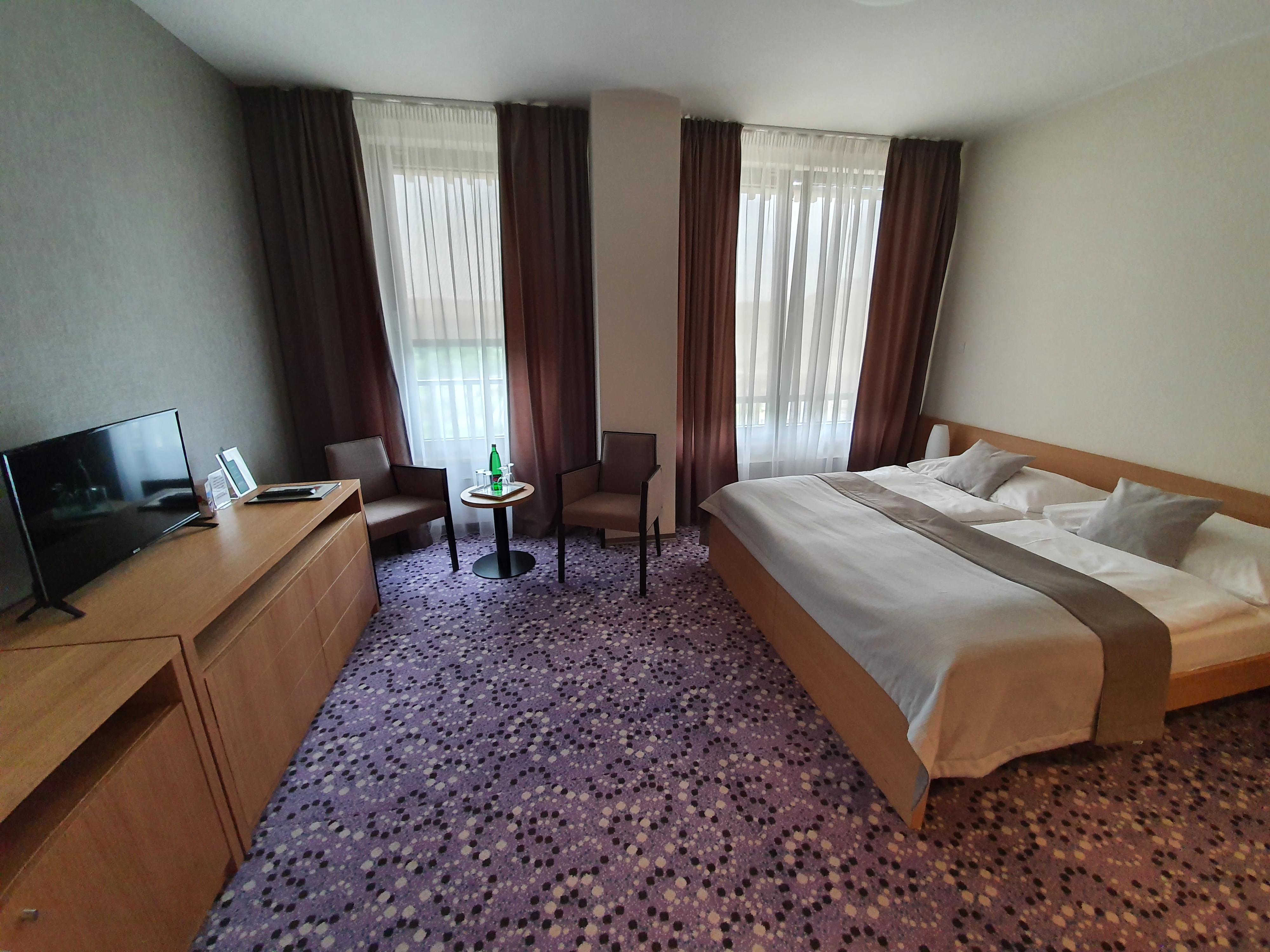 HOTEL VINICE HNANICE foto 5