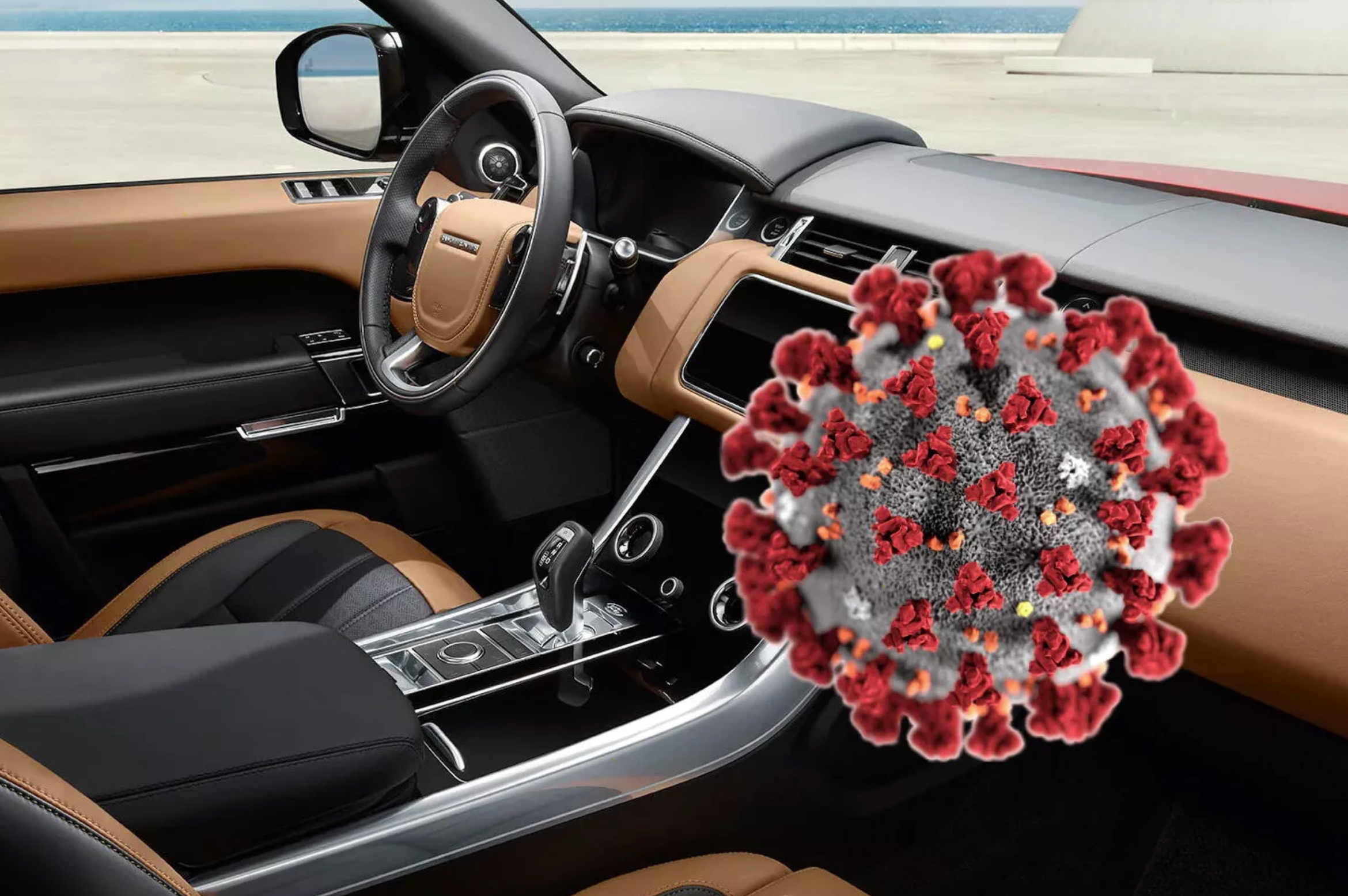 Dezimex - Dezinfekce, desinsekce, deratizace foto 3