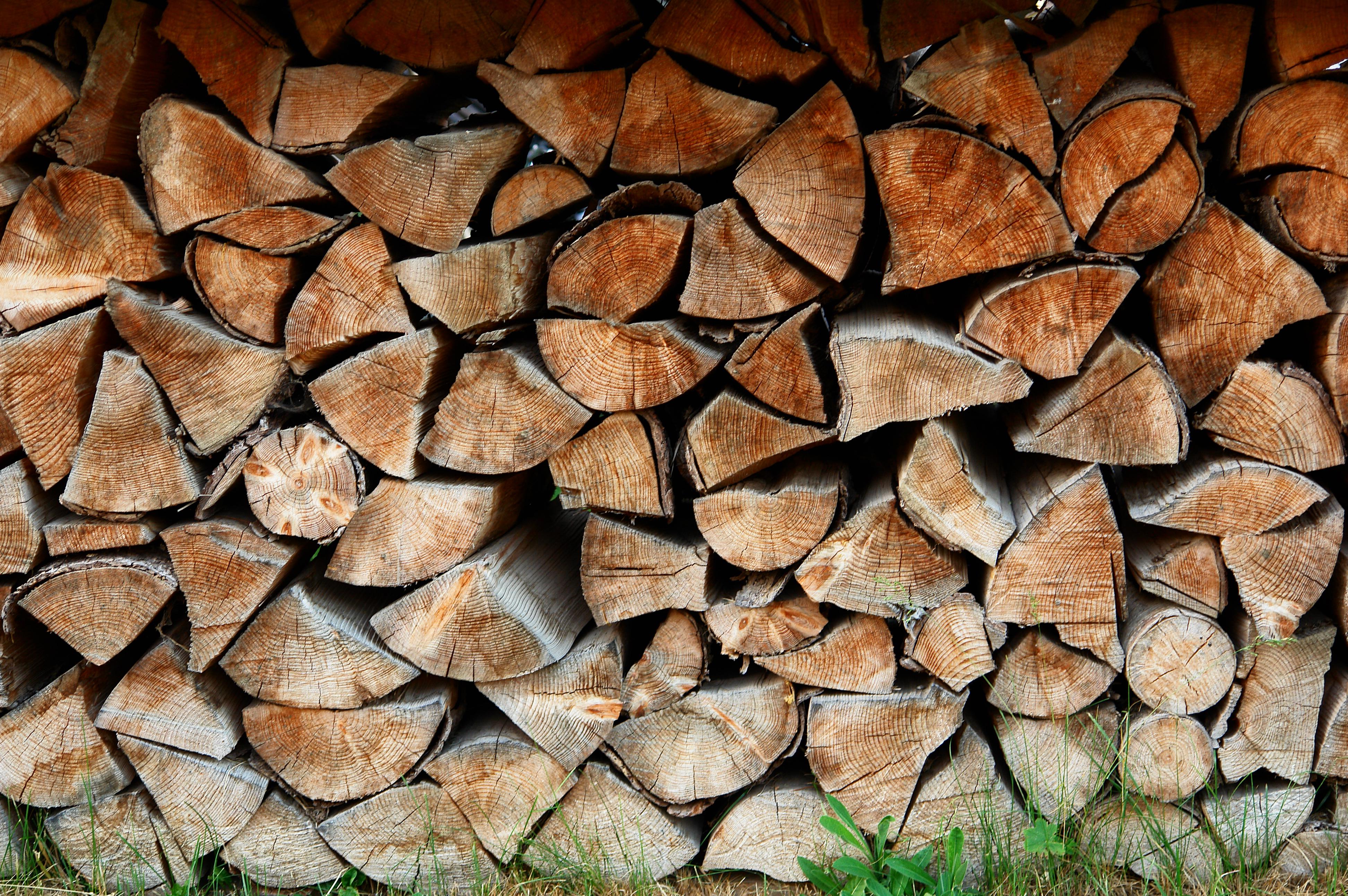 Palivové dřevo Morava - Slezsko, Házerová, s. r. o.