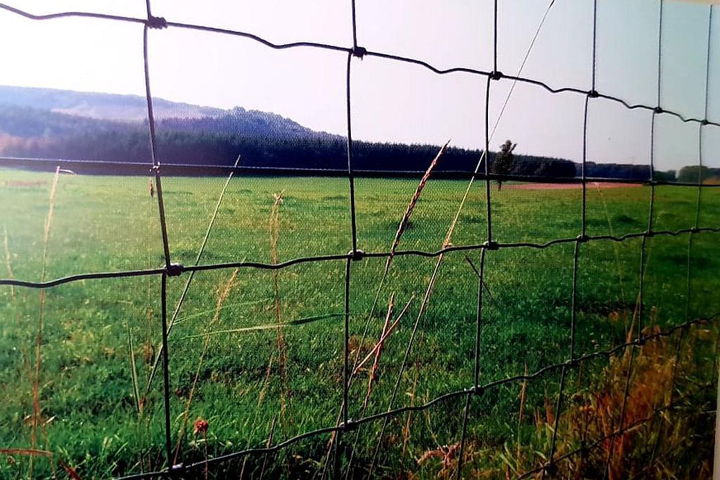 Užitková lesní pletiva,  až 20 let odolnost.