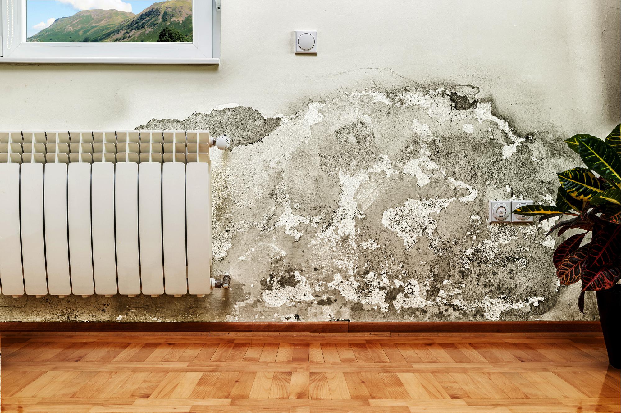 Elektrofyzika s.r.o.