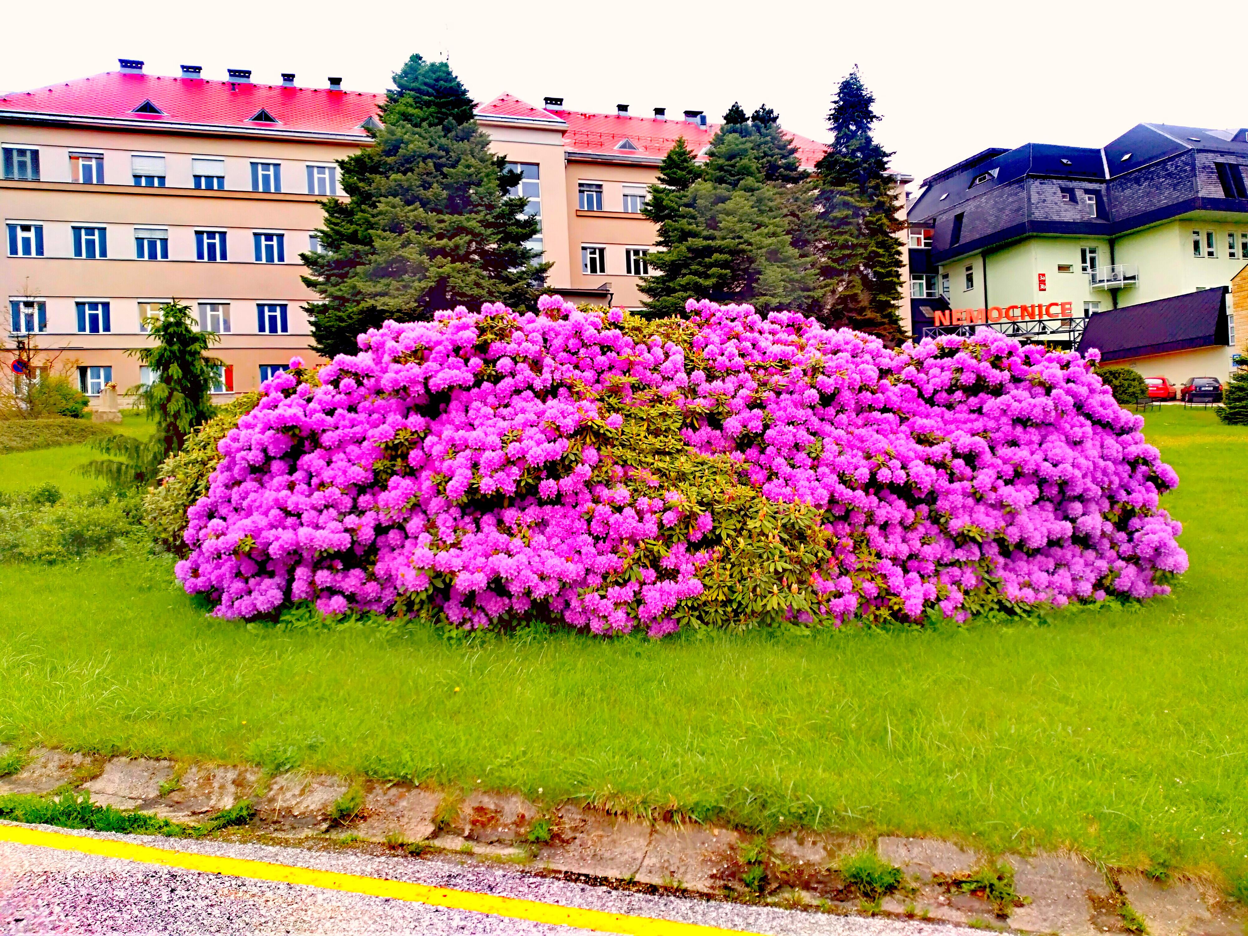 MMN, a.s. Jilemnice foto 6