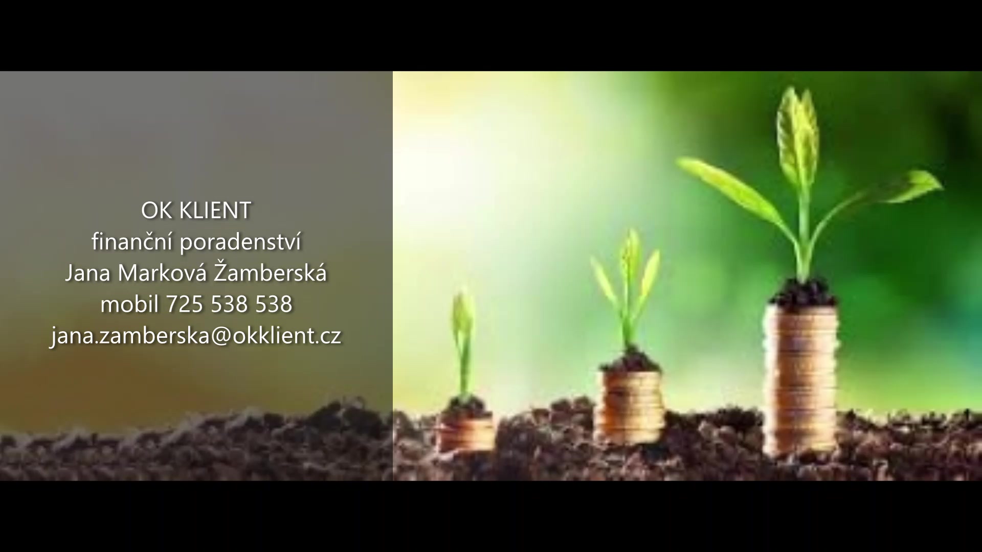 Finanční poradenství Jana Marková Žamberská foto 2 (náhled videa)