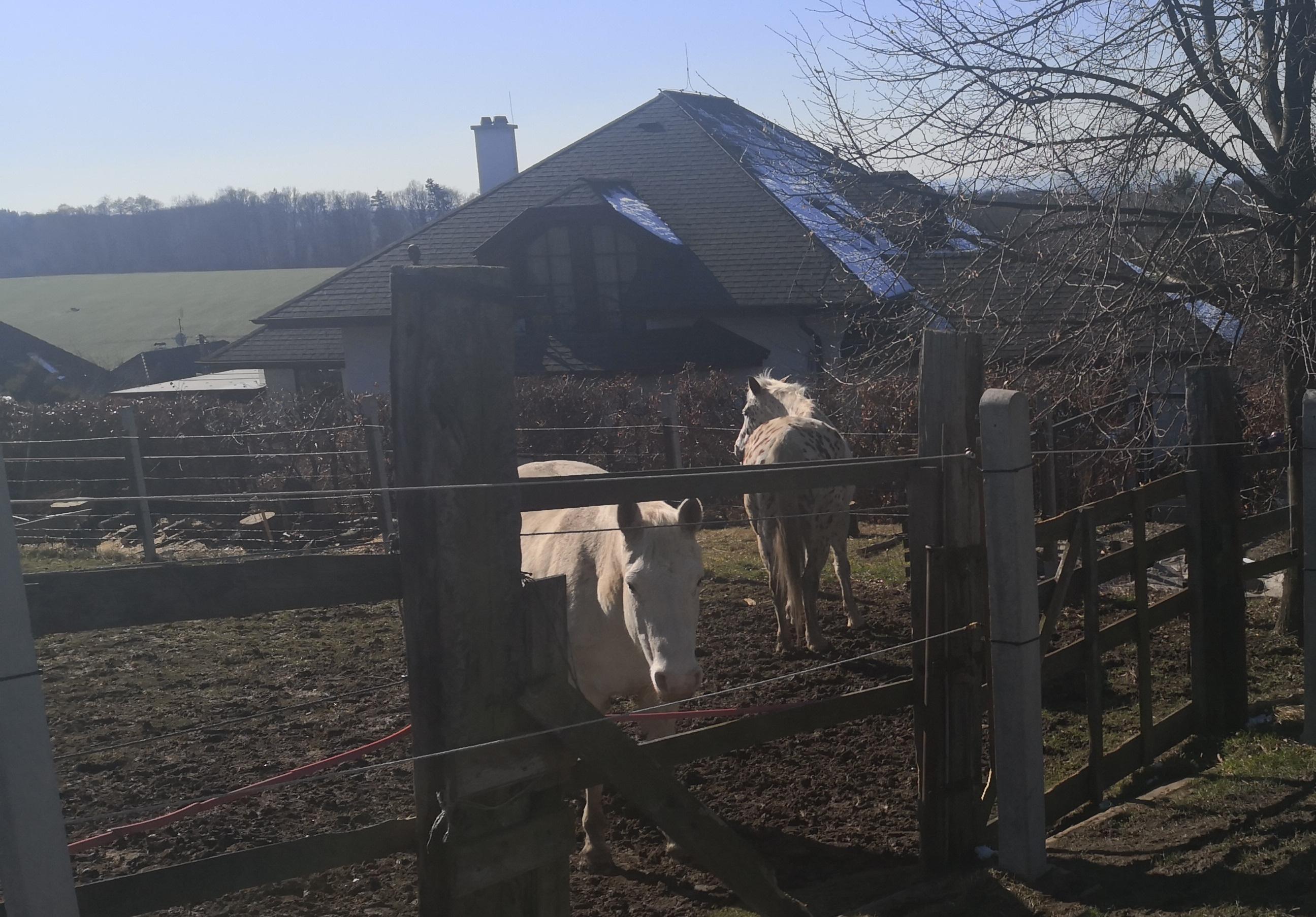 Jízdárna Ranč Moneta