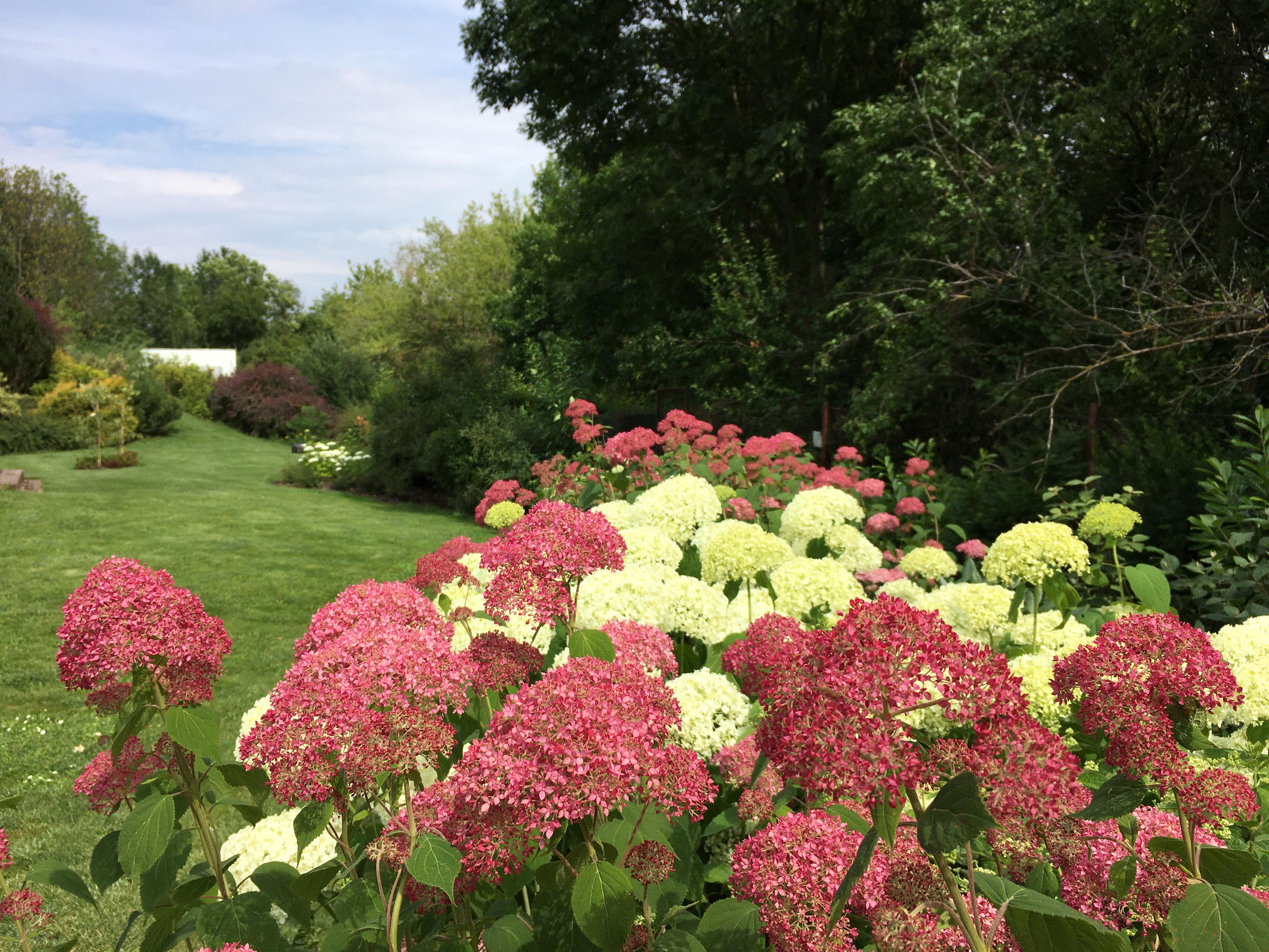 Zahrada profesionálně foto 2