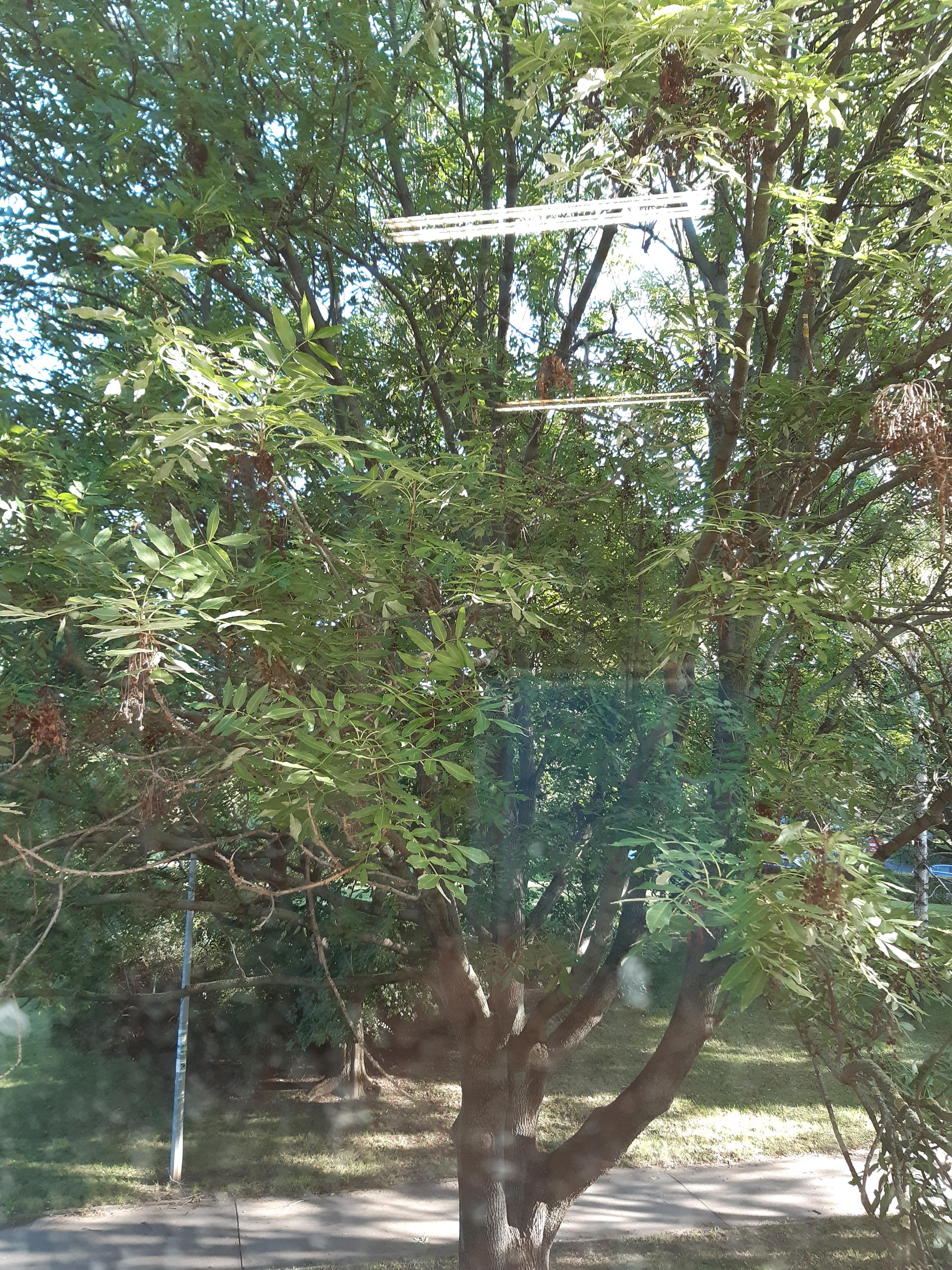 ZŠ Praha 9, Litvínovská 500 foto 6