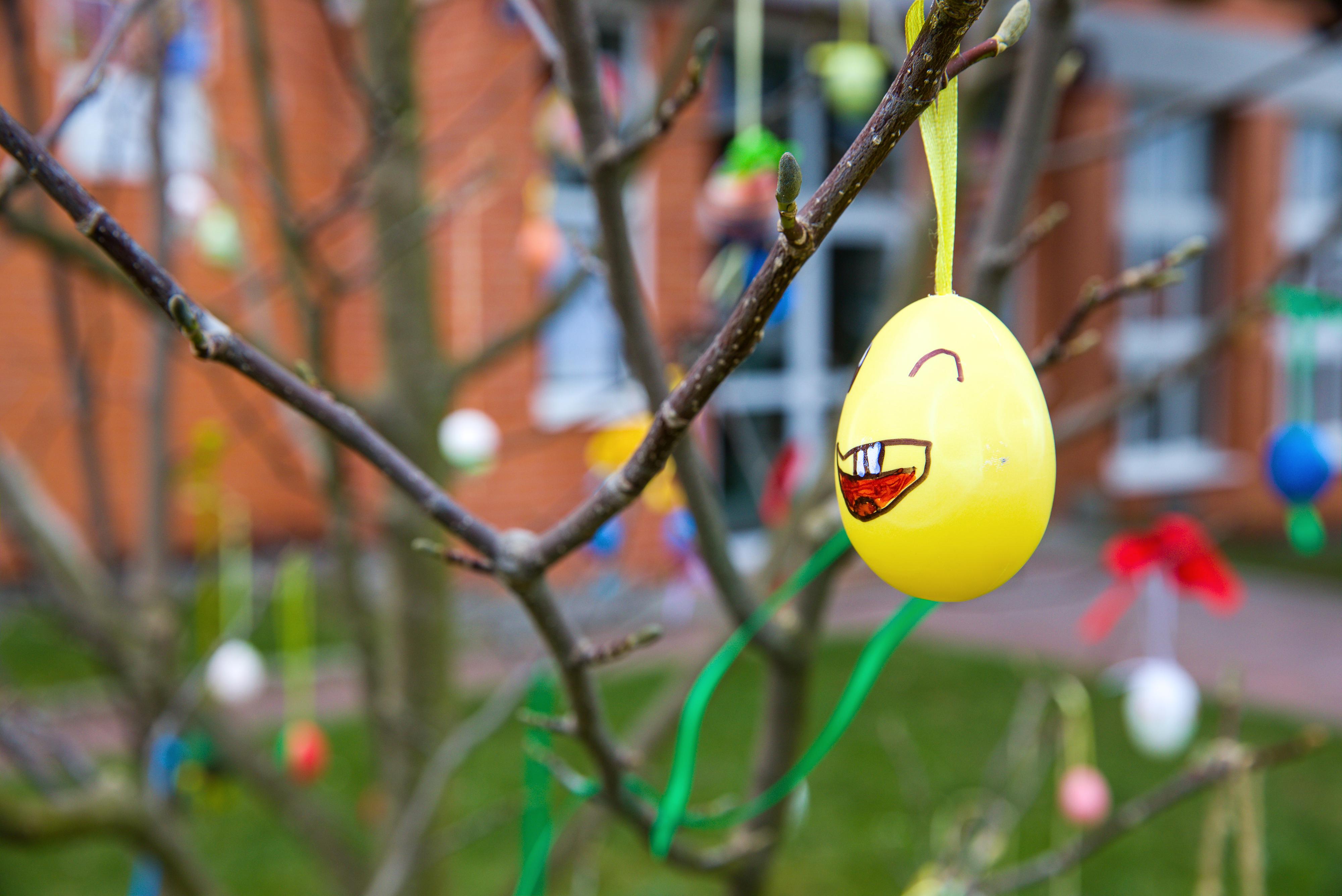 ZŠ Zlín, Komenského foto 6