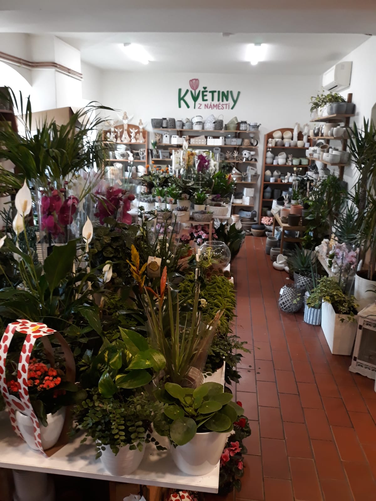 Květiny z náměstí foto 2