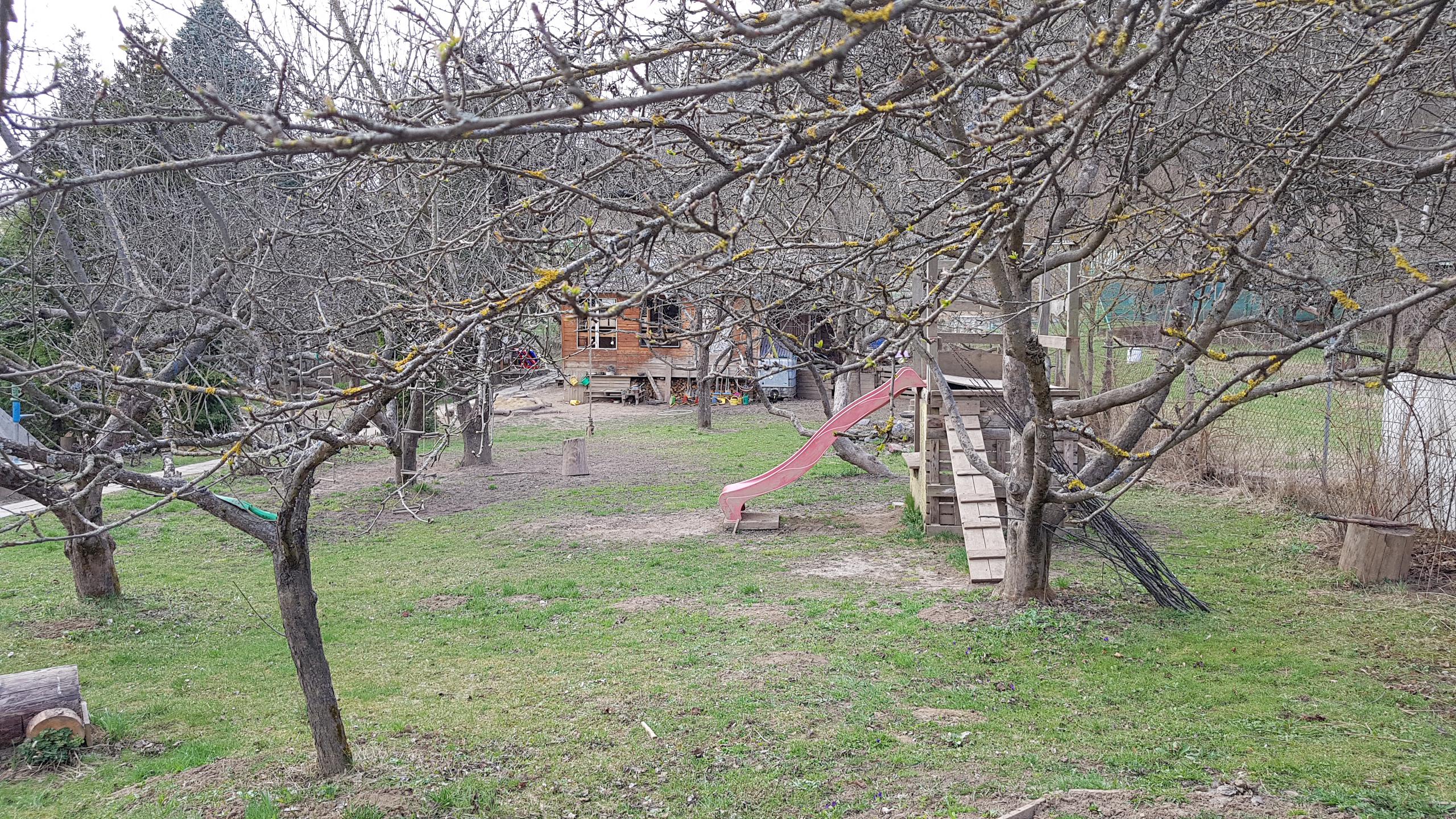 Lesní mateřská škola Mariánka foto 3