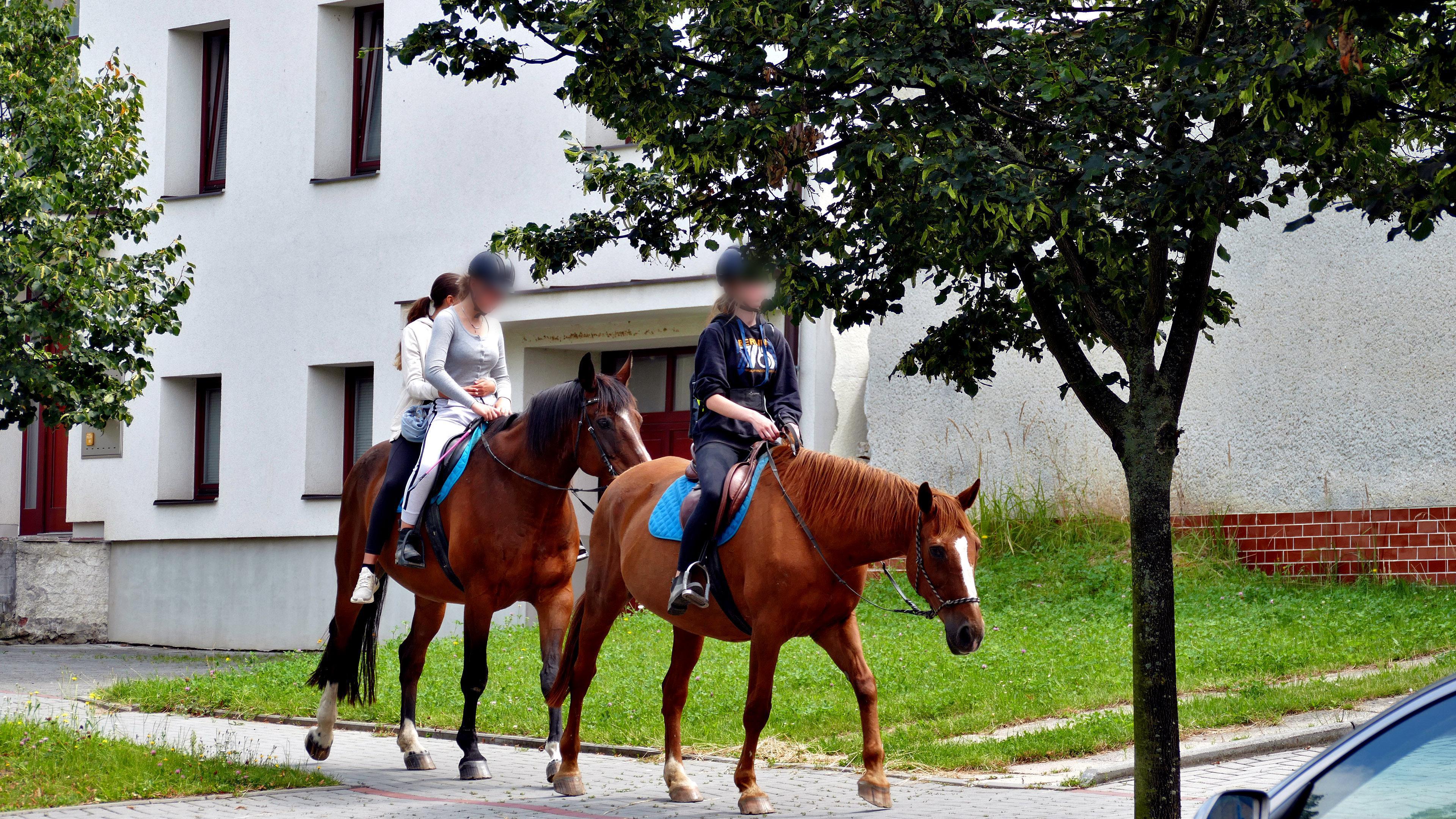 Přáslavice - obecní úřad foto 4