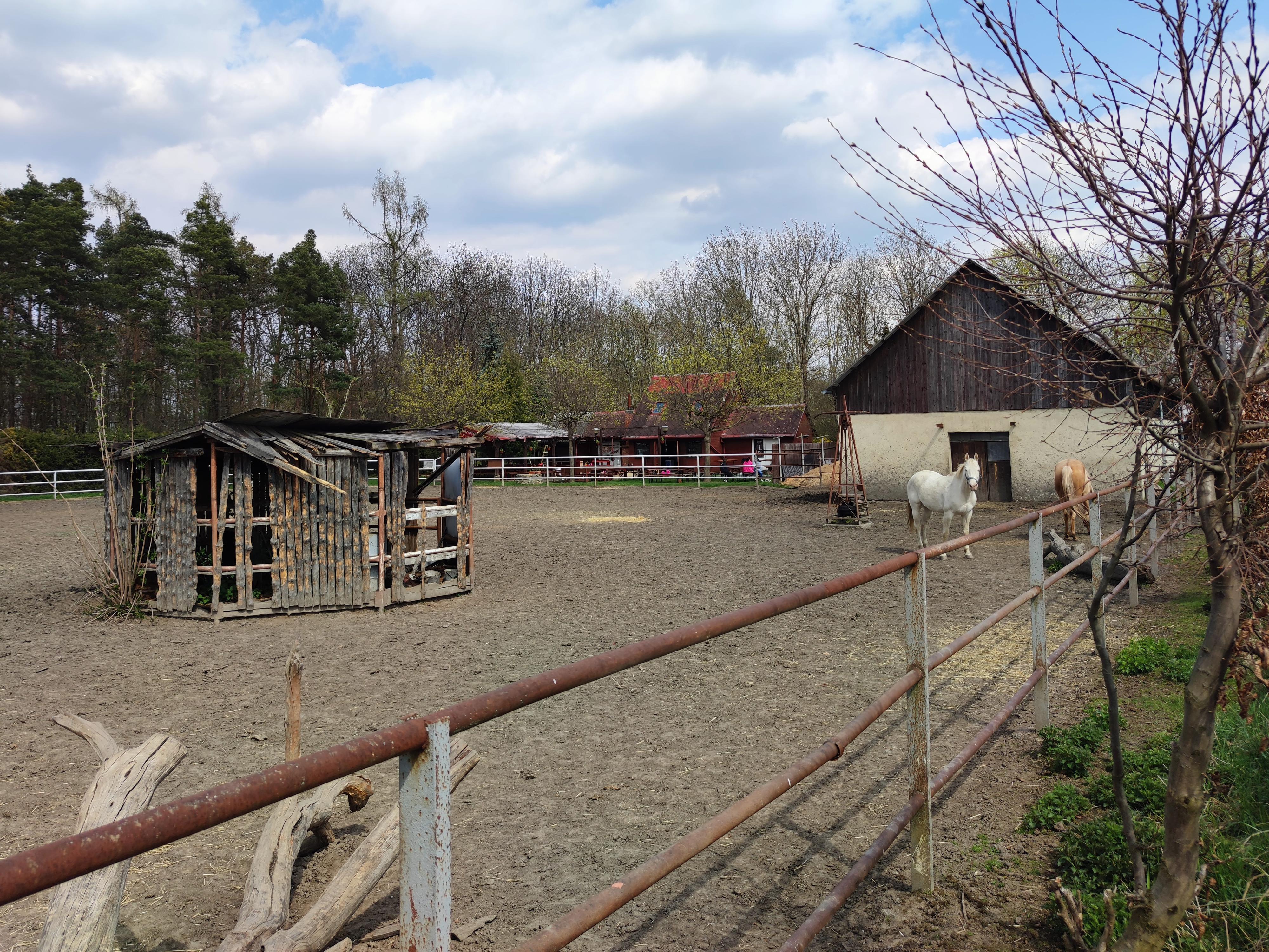 Jízdárna Cavalo foto 4