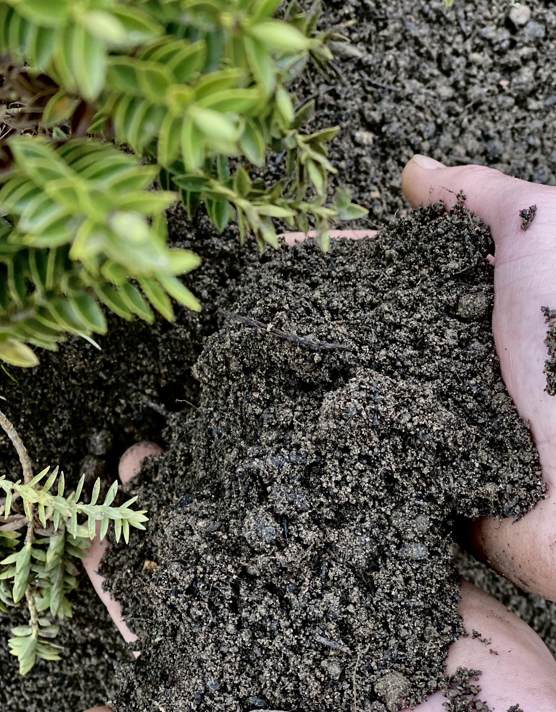 OSBET BIO s.r.o. foto 4