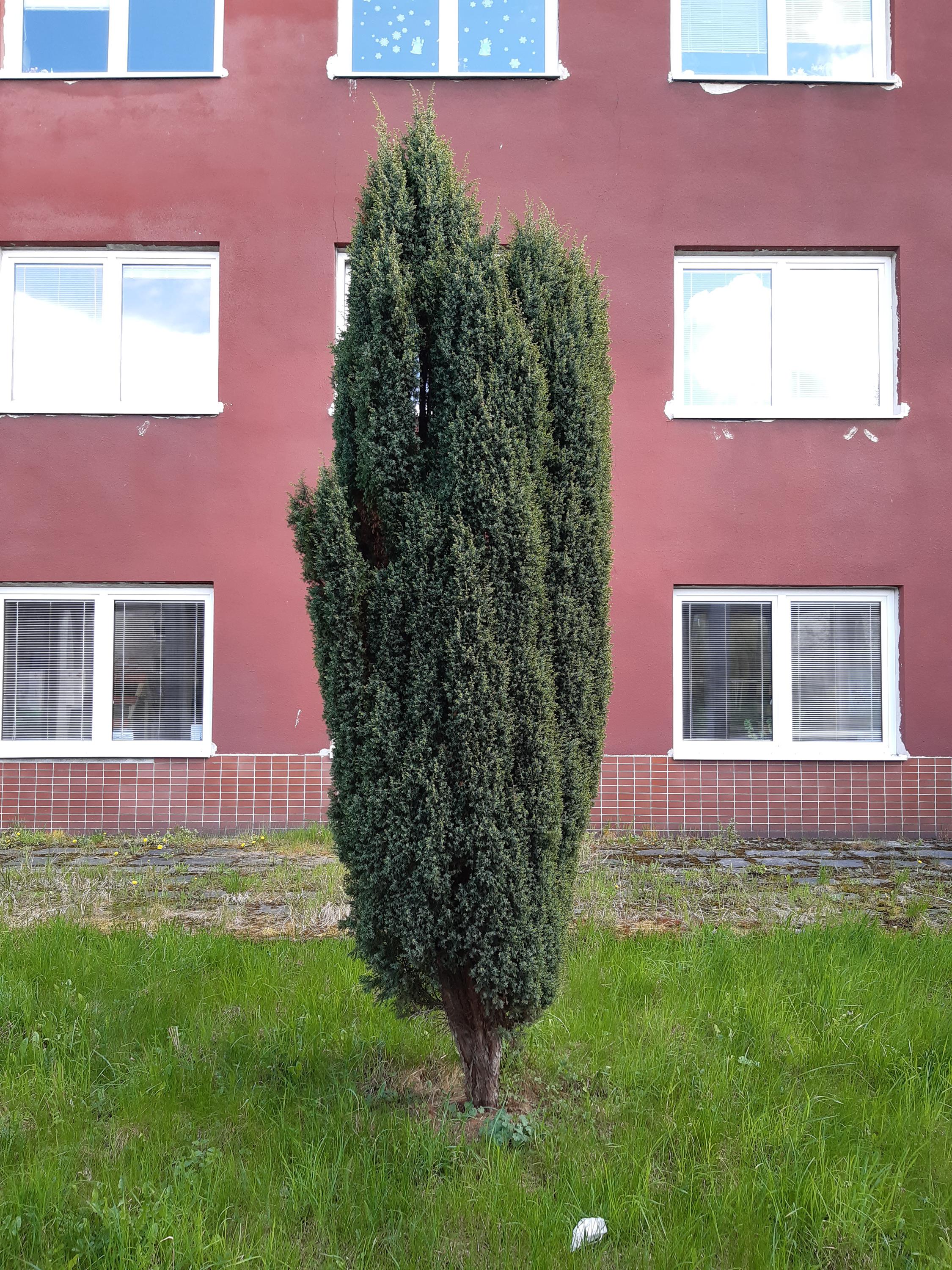 Nemocnice Chomutov foto 4