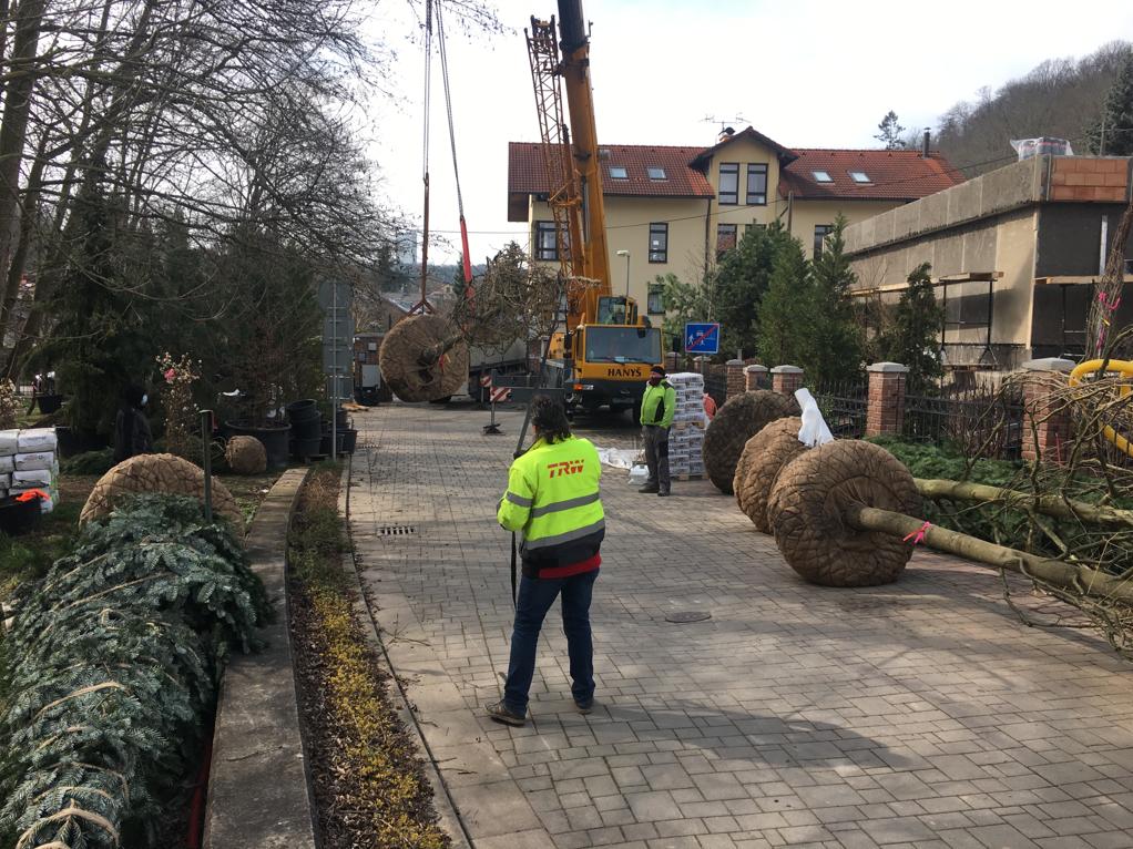 Zahradnické služby Richard Čech foto 4