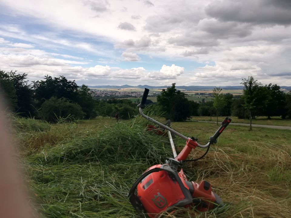 Ing. Lukáš Jankových - Komplexní péče o zeleň foto 4