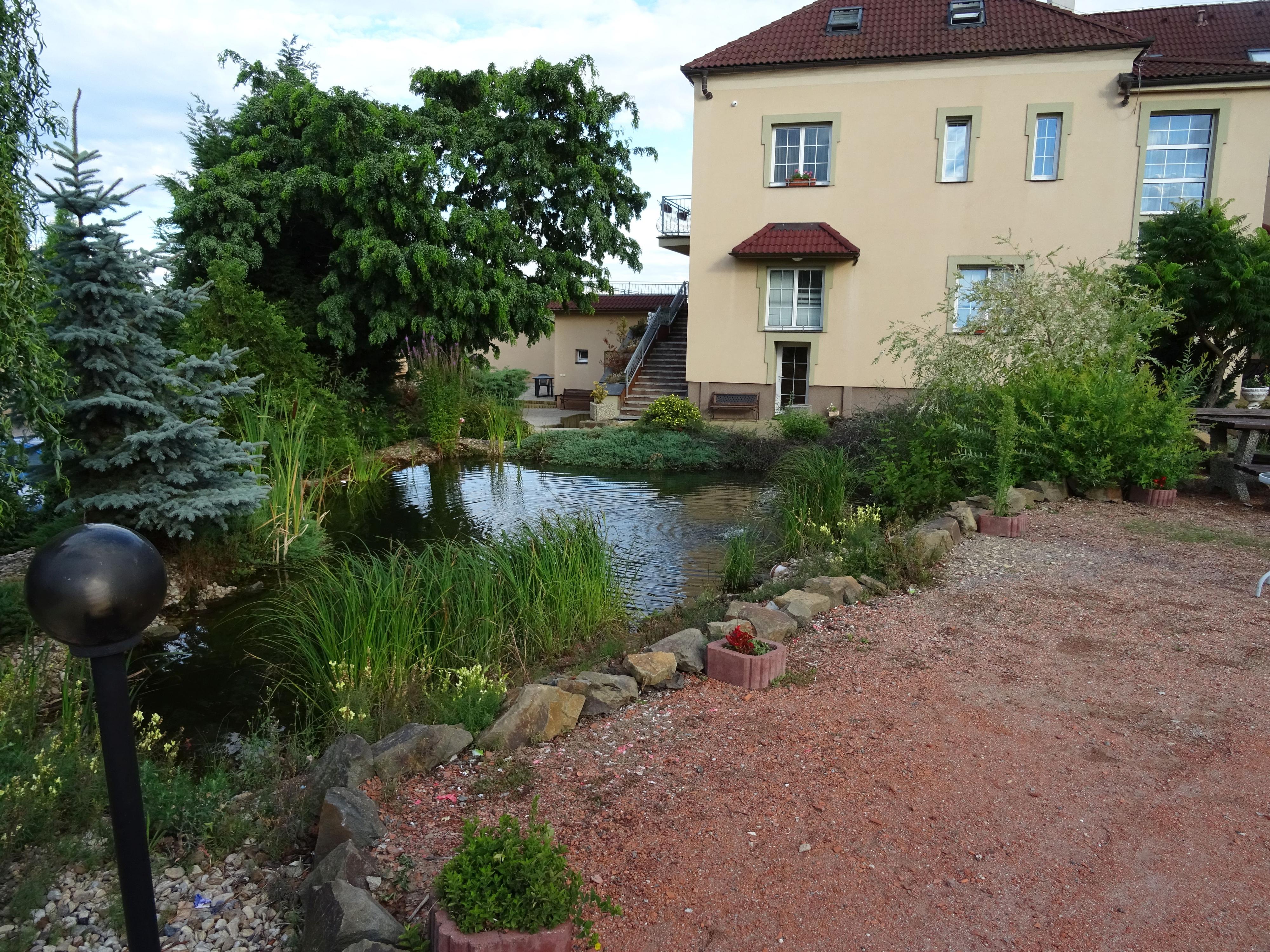 Hotel Allvet foto 6