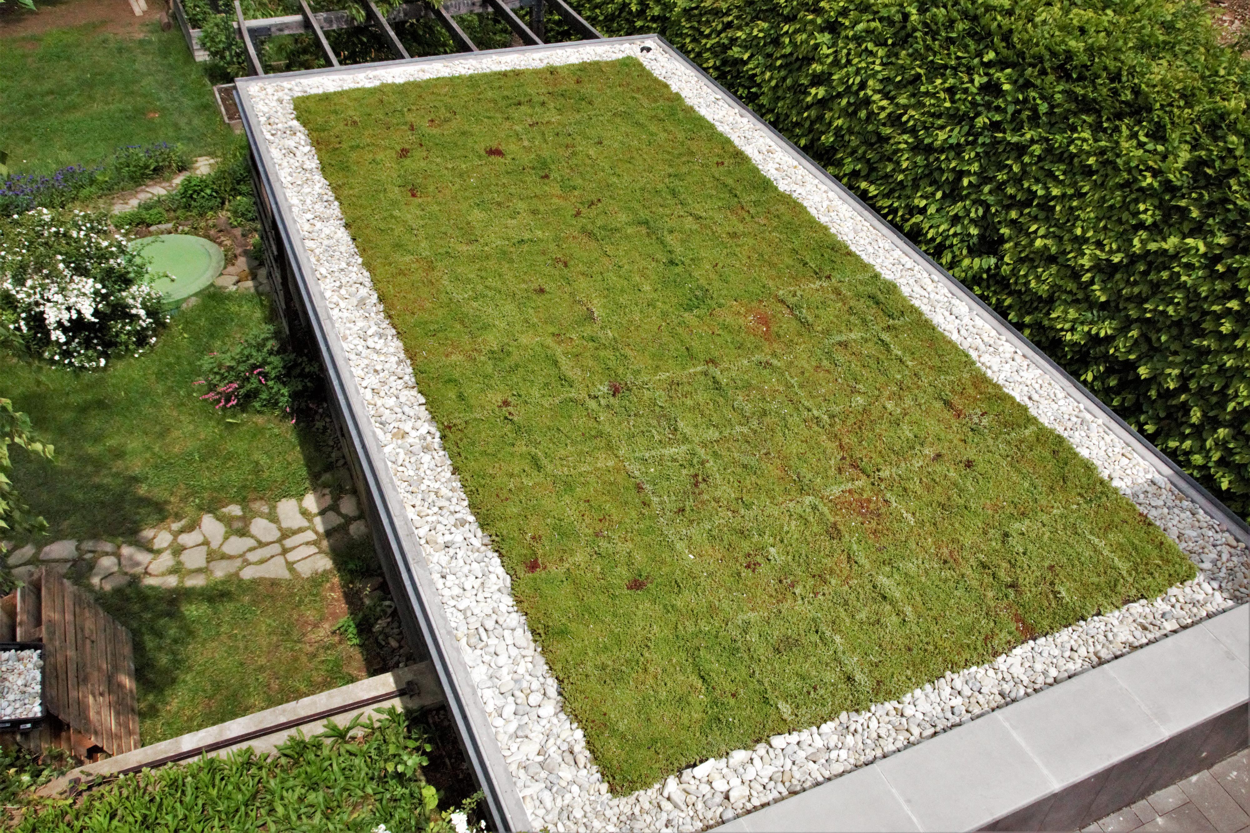 Zelené střechy ECOSEDUM® PACK foto 4