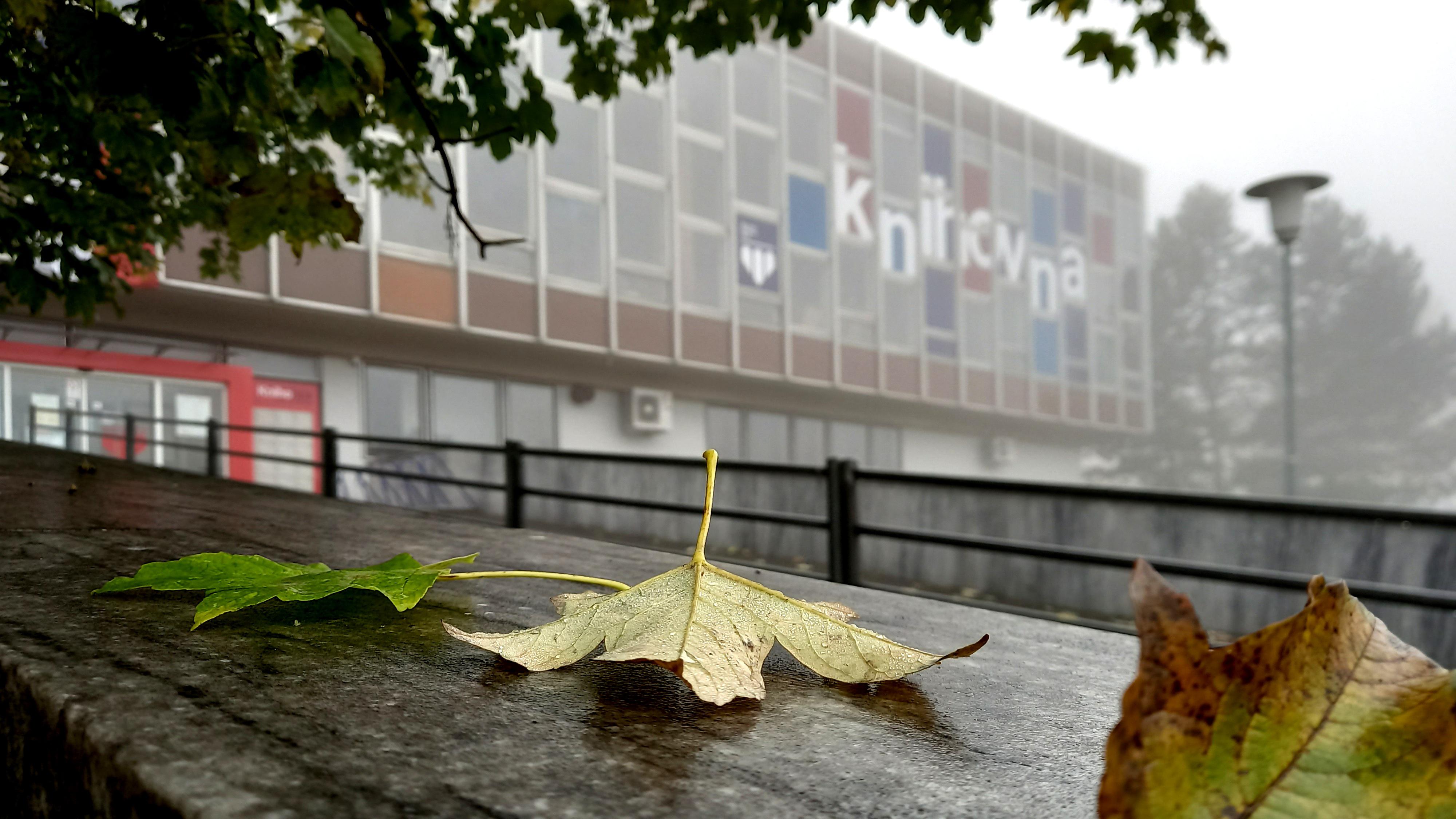 Městská knihovna Most foto 4