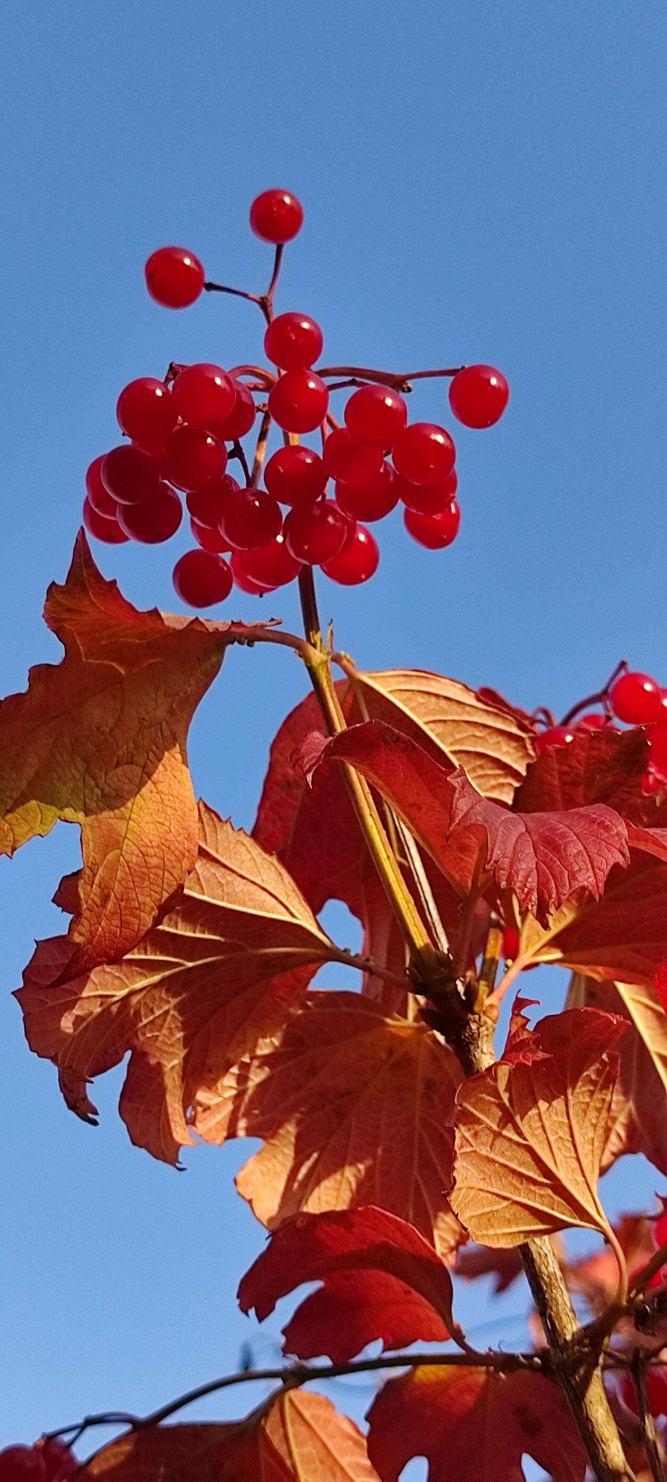 Silnice Klatovy, a.s. foto 2