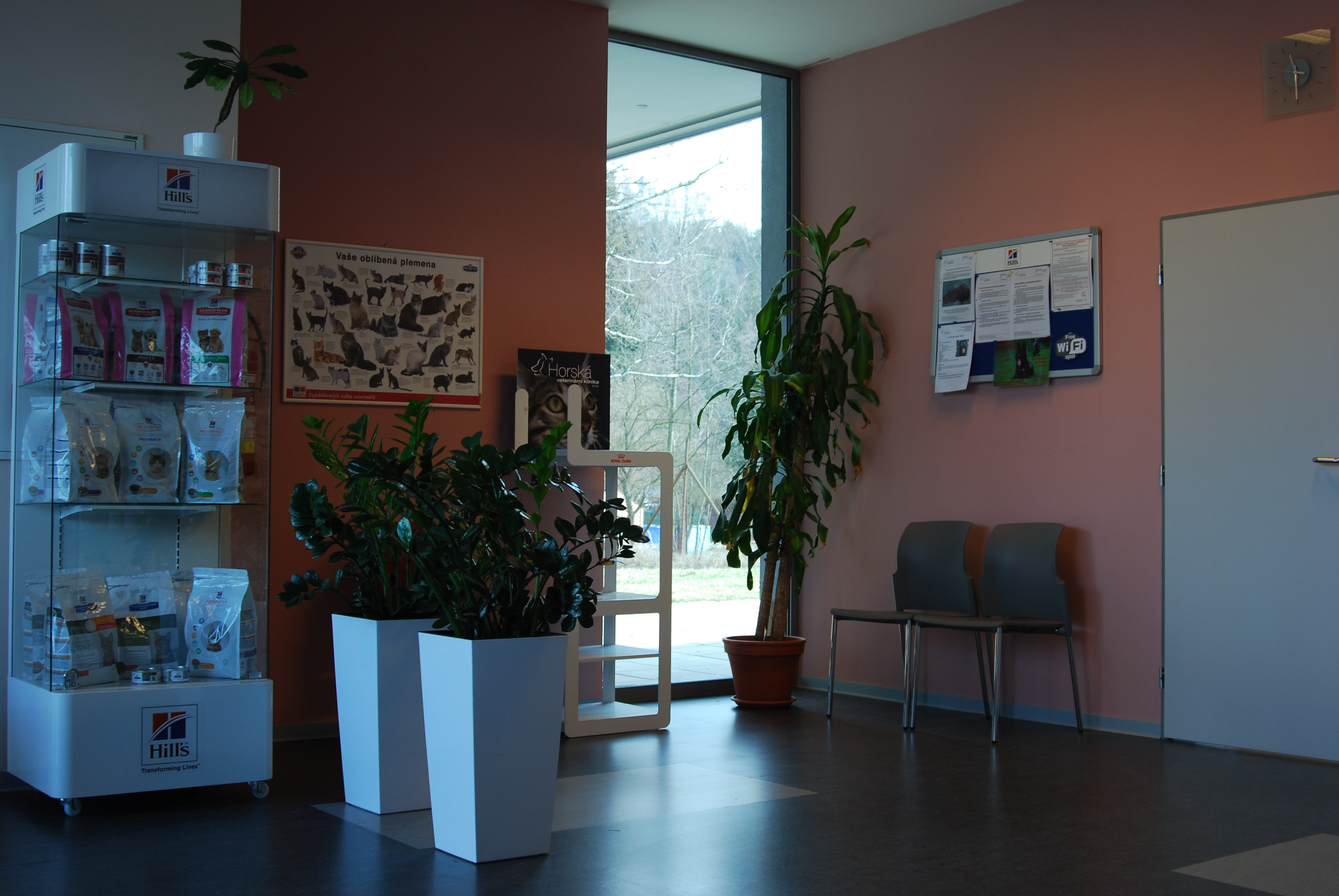 Horská veterinární klinika foto 5