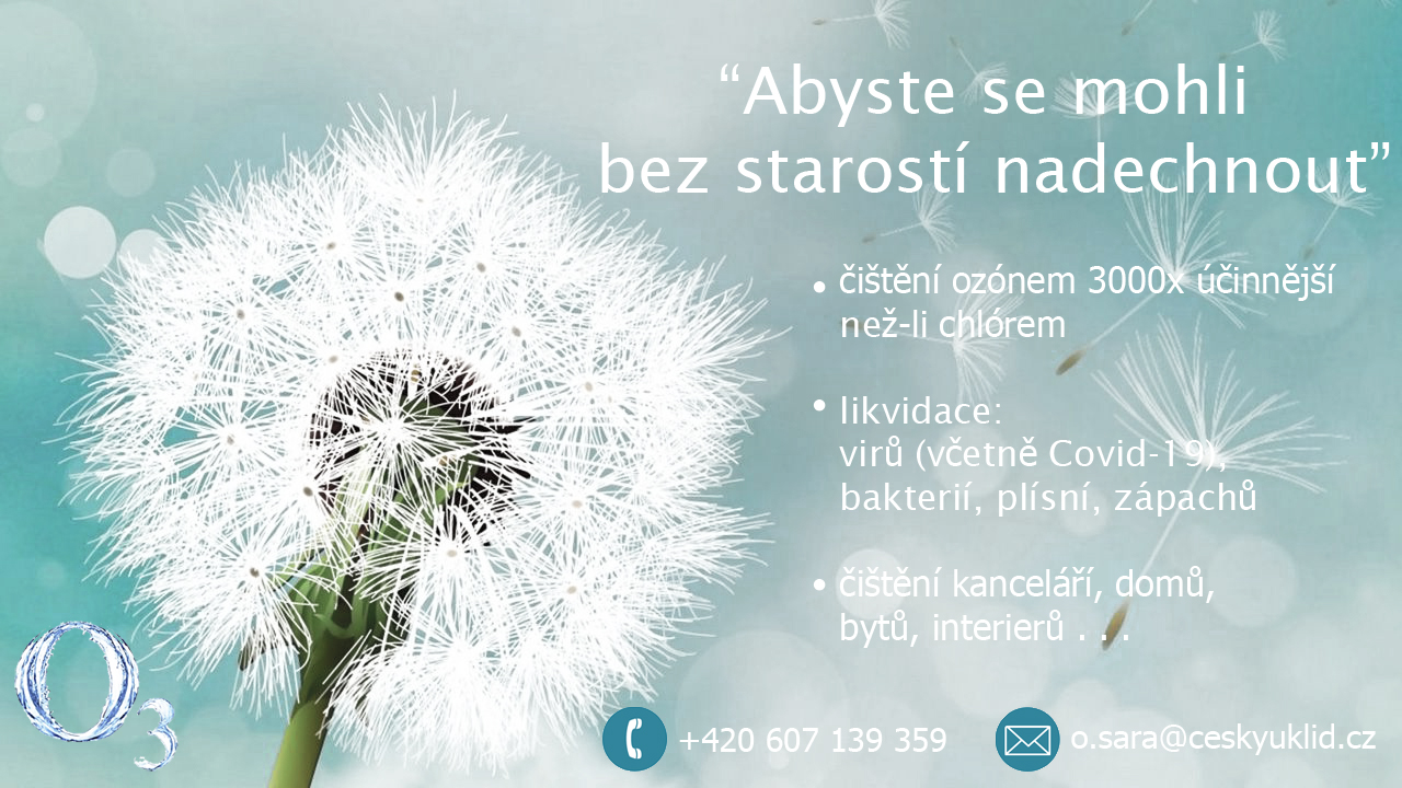 Český úklid foto 2