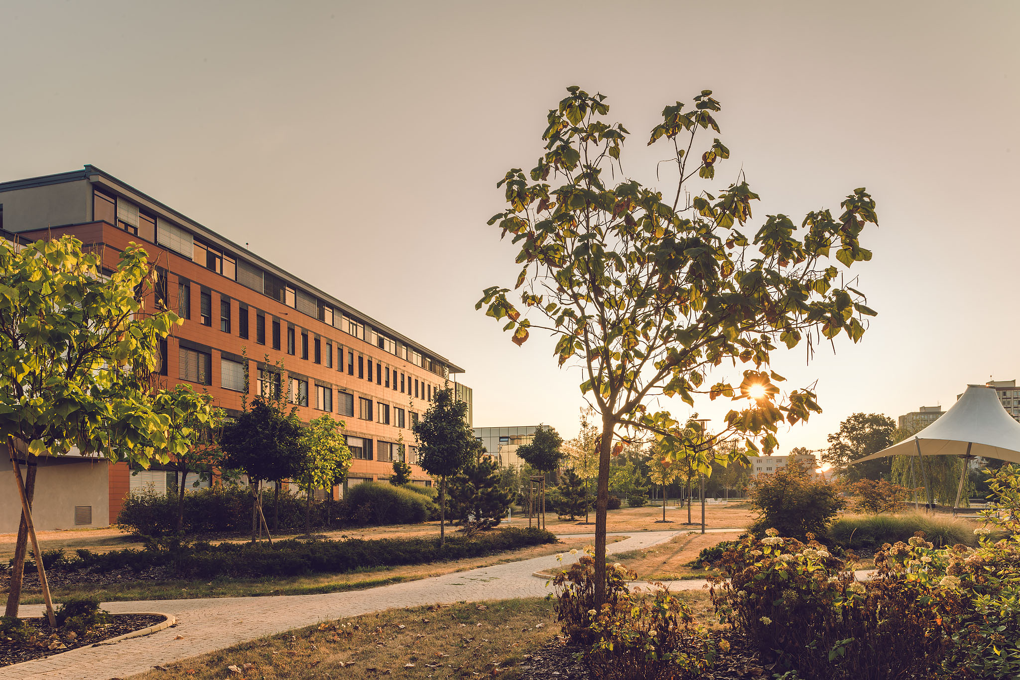 Jihočeská univerzita v Českých Budějovicích foto 6