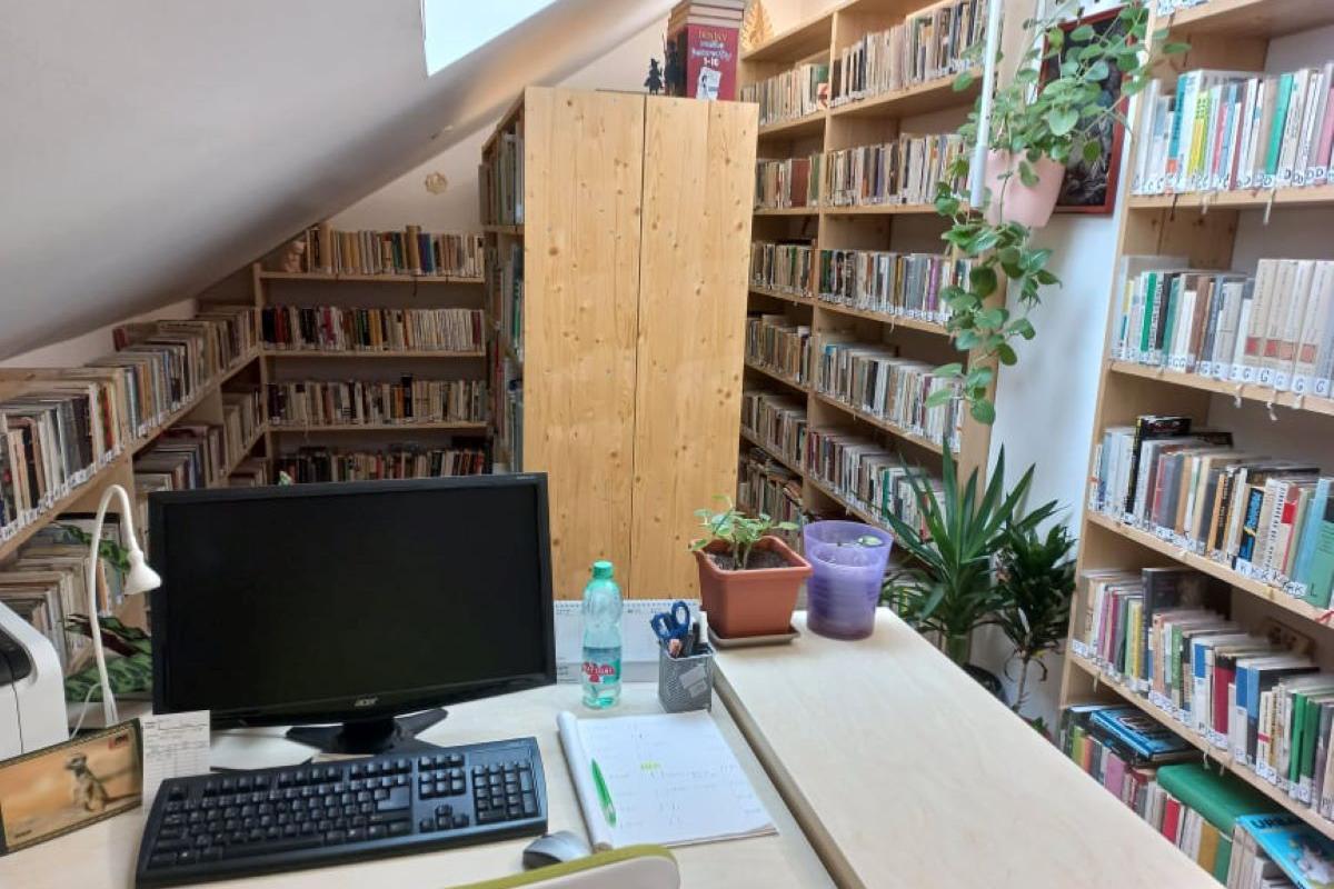 Obecní knihovna Srní