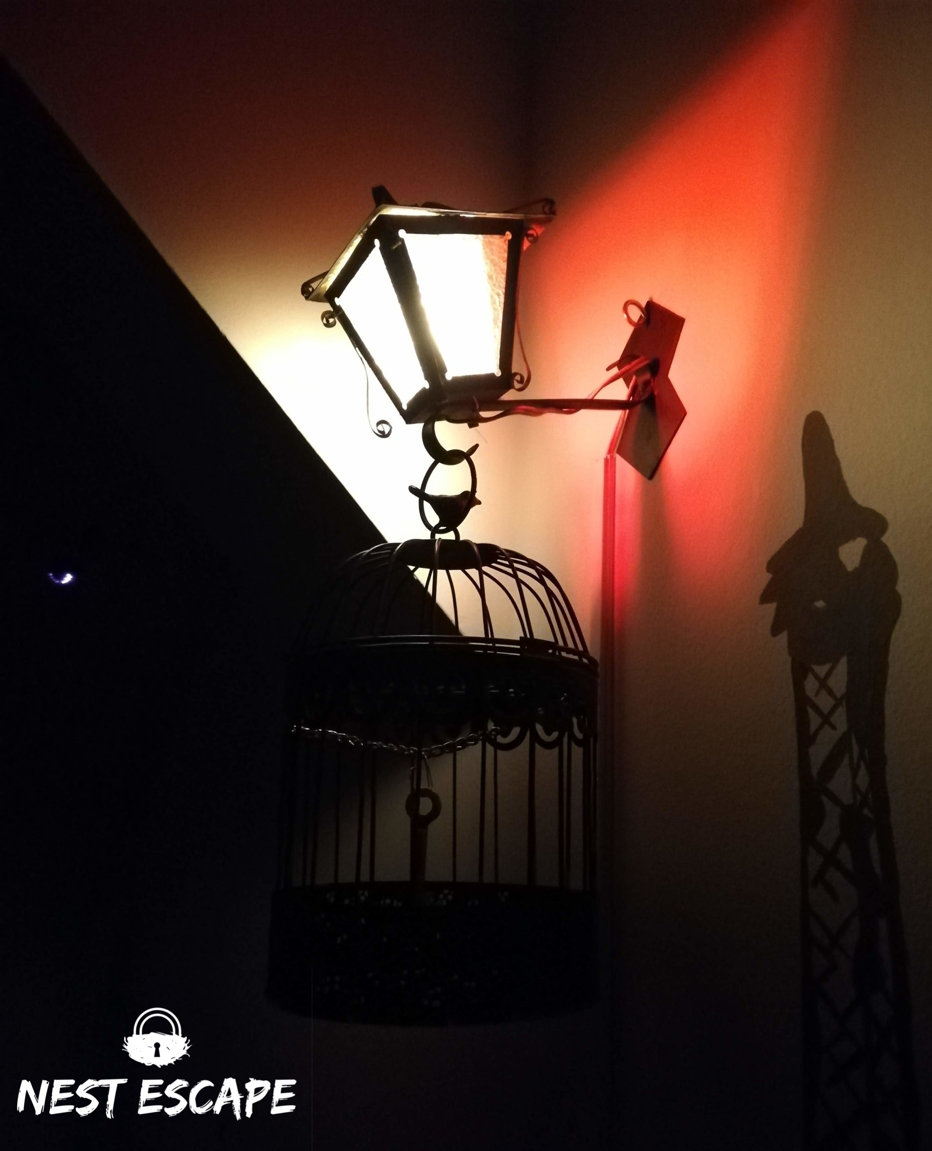 Nest Escape foto 4