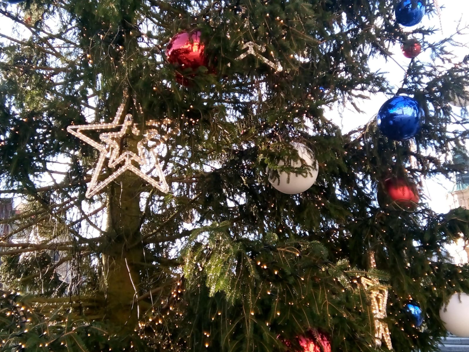 Praha s námi foto 2