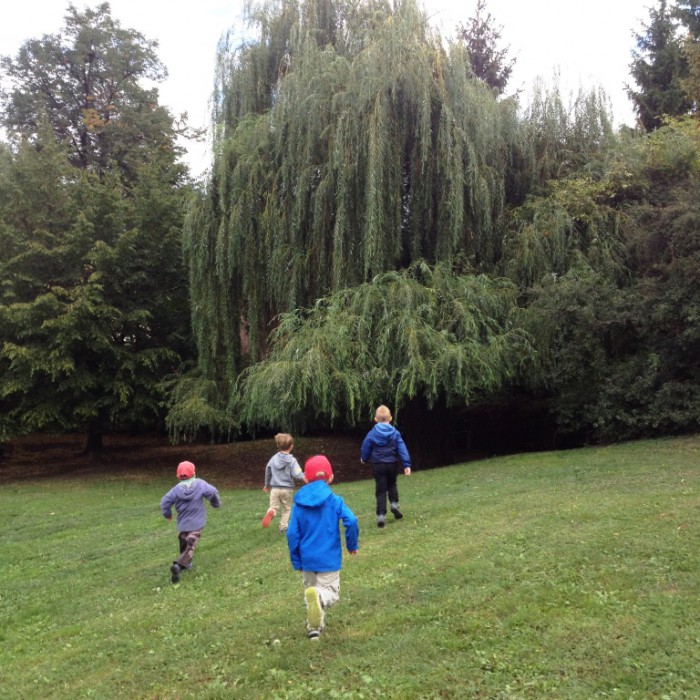 Soukromá Mateřská škola - Pro Family s.r.o. foto 4