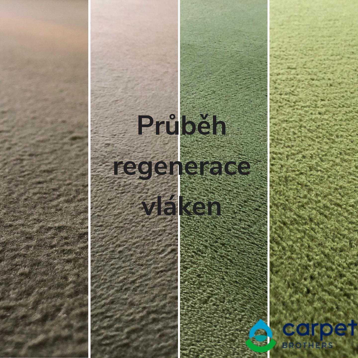 Carpet Brothers foto 3