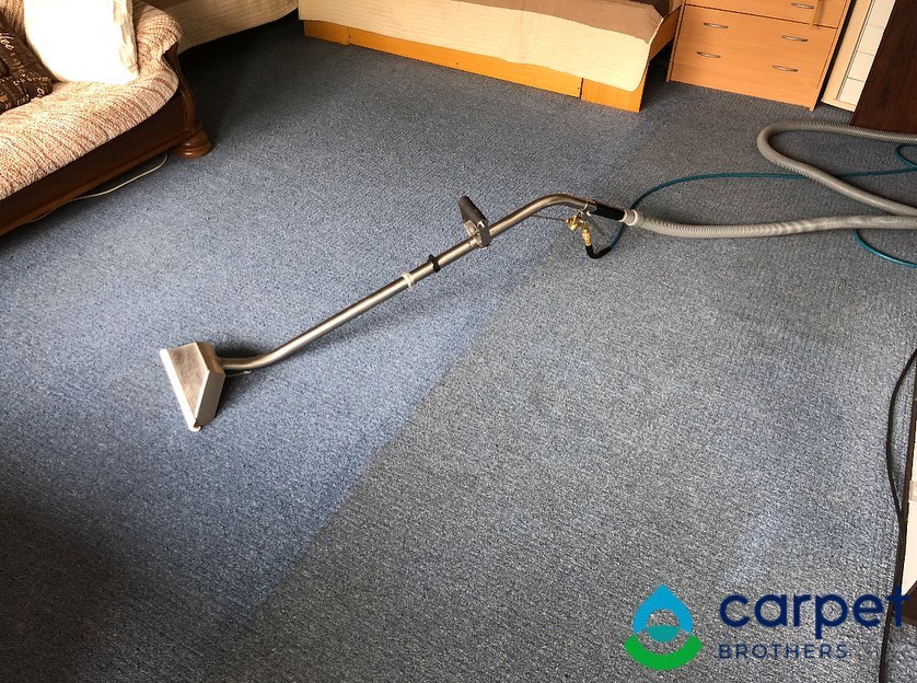 Carpet Brothers foto 1